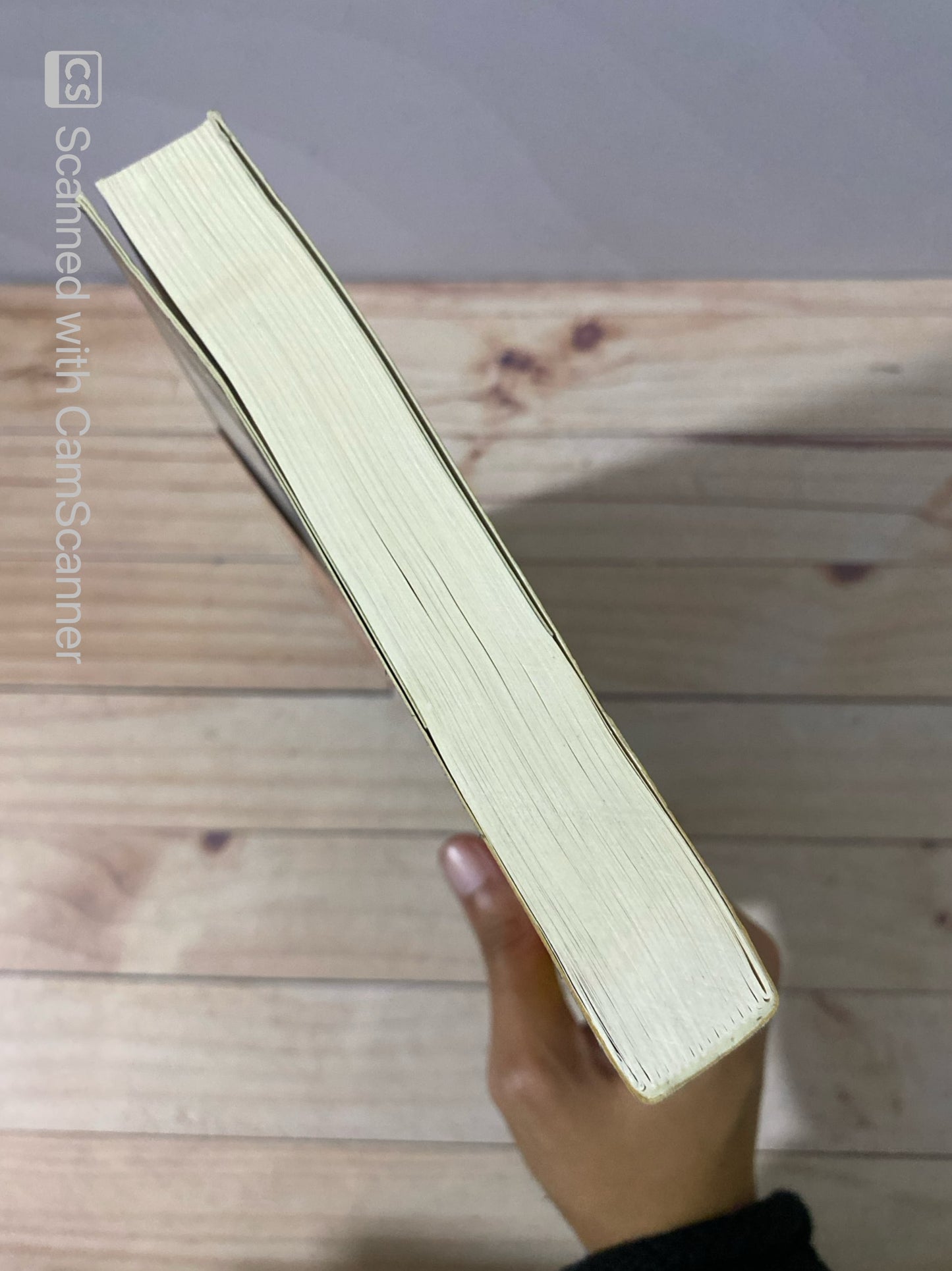 Ilustrado | Miguel Syjuco