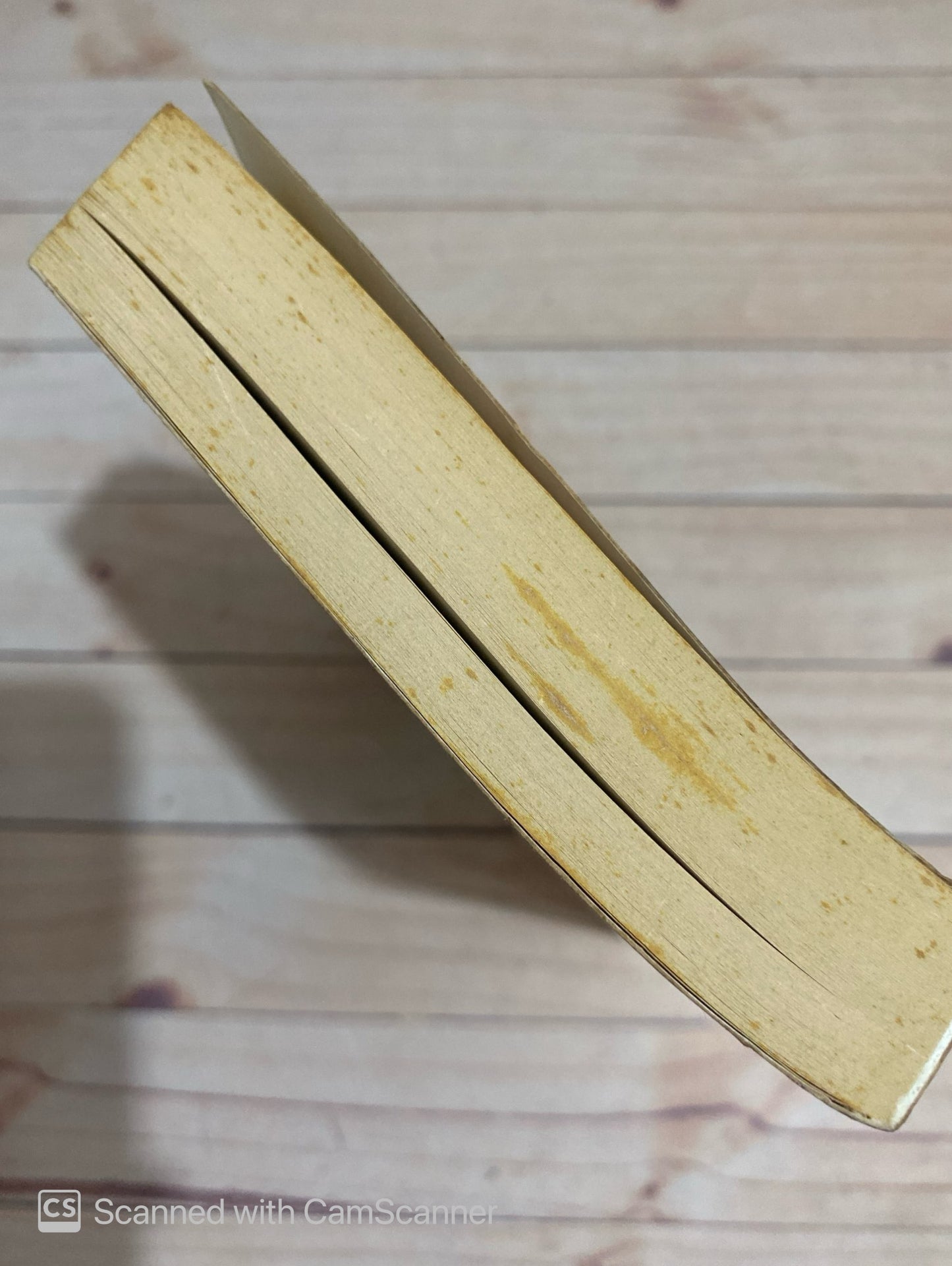 Los escarpines de Kristina de Noruega | Cristina Sánchez-Andrade