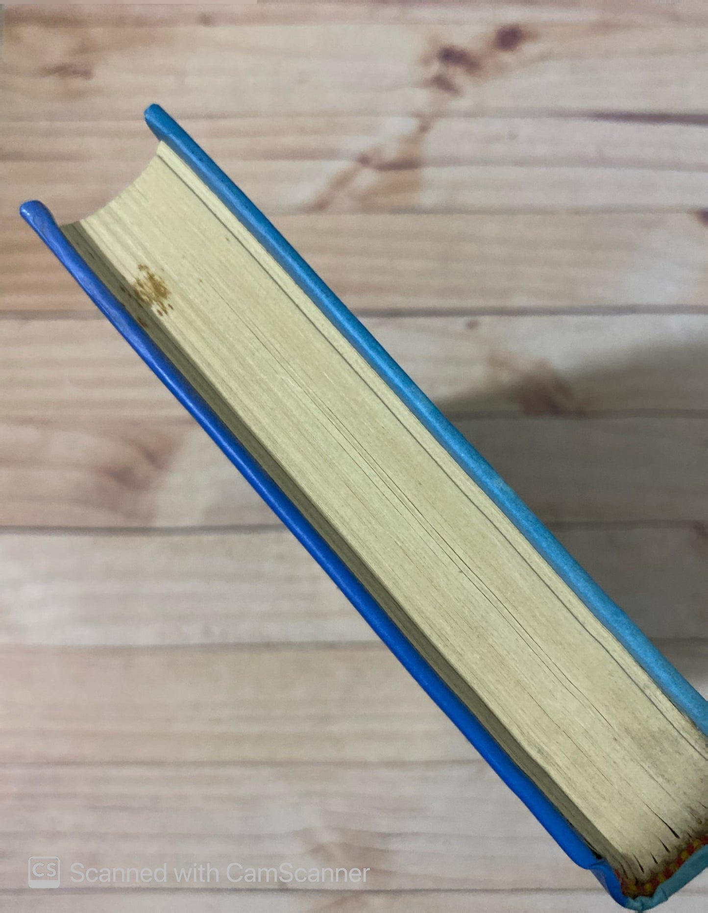 Son de mar | Manuel Vicent