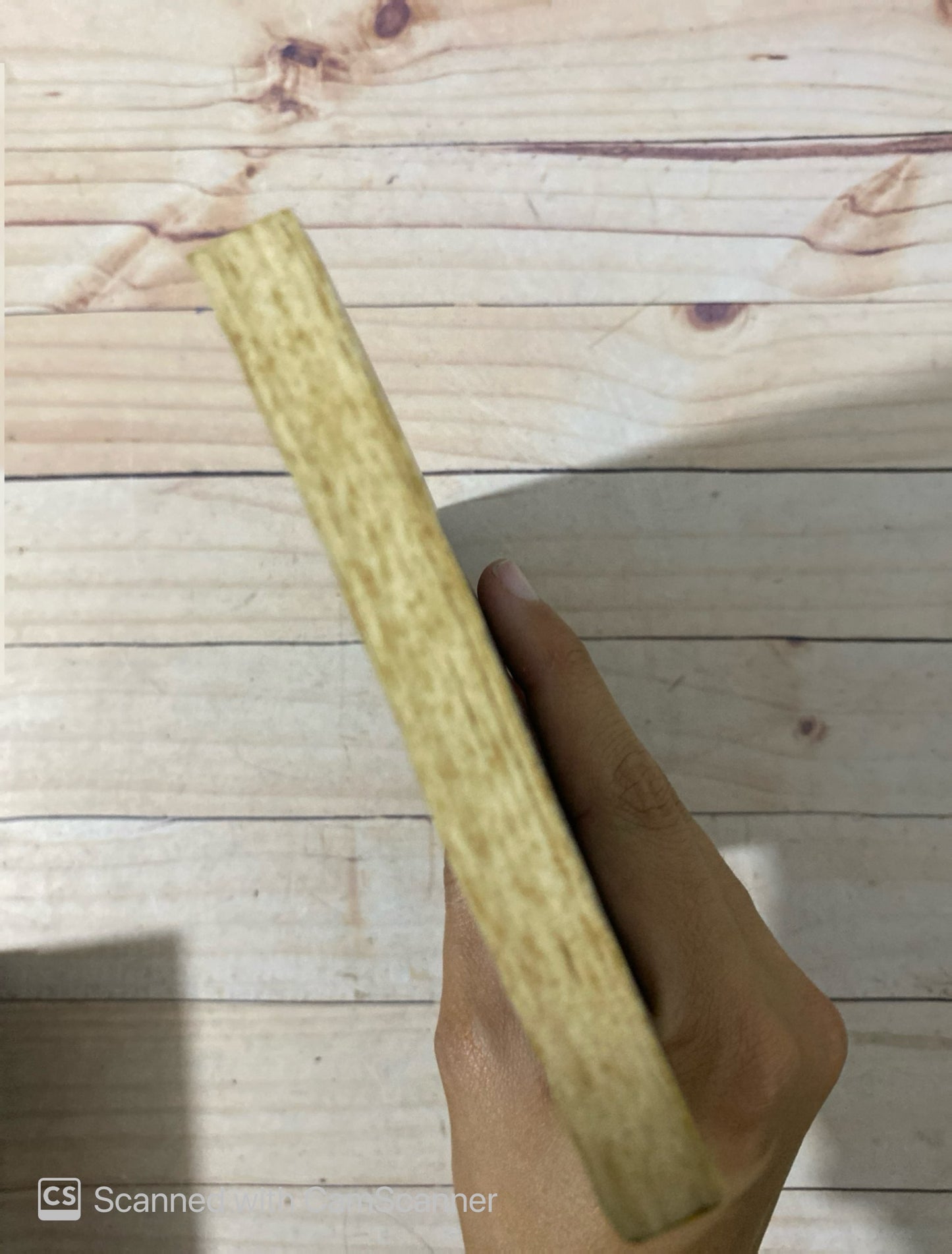 Nocturama | Ana Teresa Torres