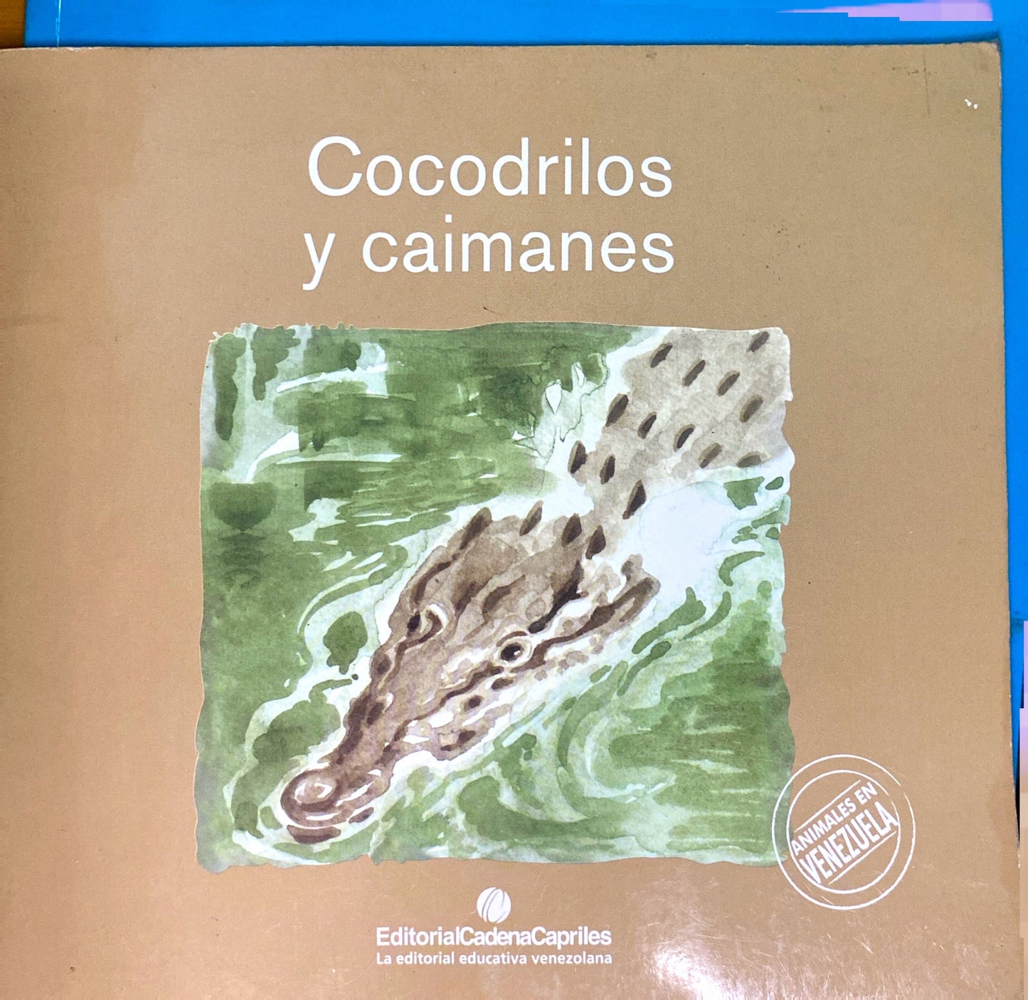 Colección 6 cuentos sobre animales