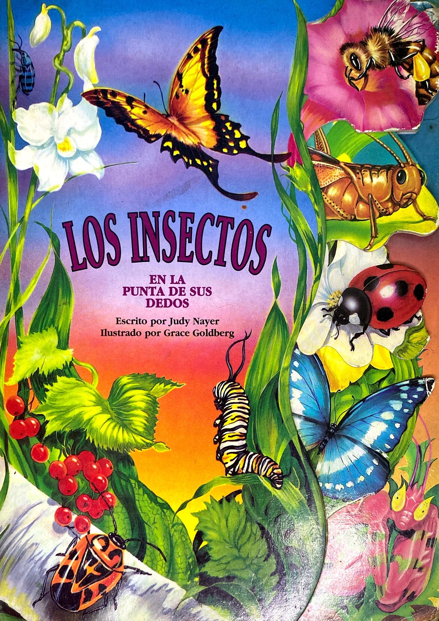 Los insectos en la punta de sus dedos
