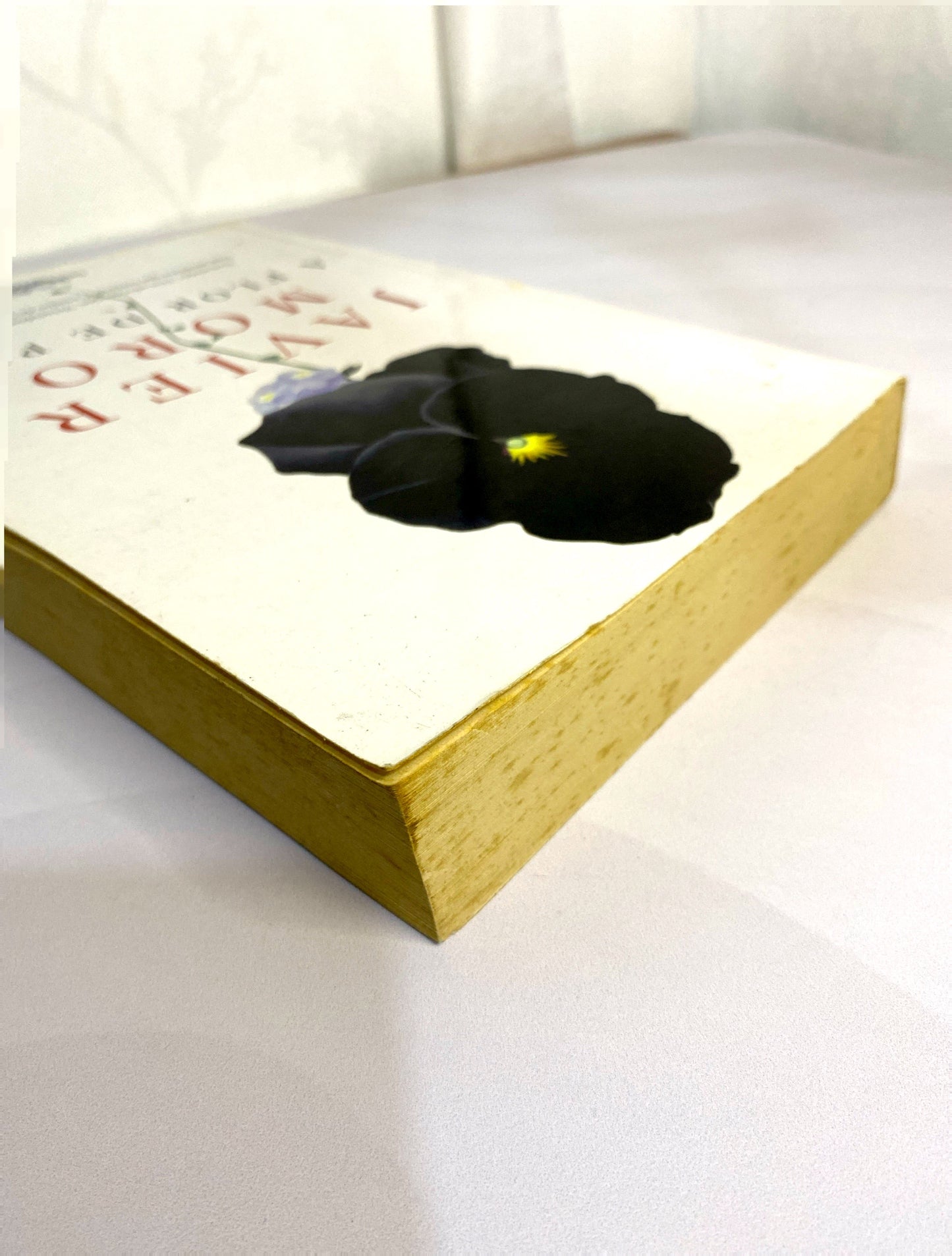 A flor de piel | Javier Moro