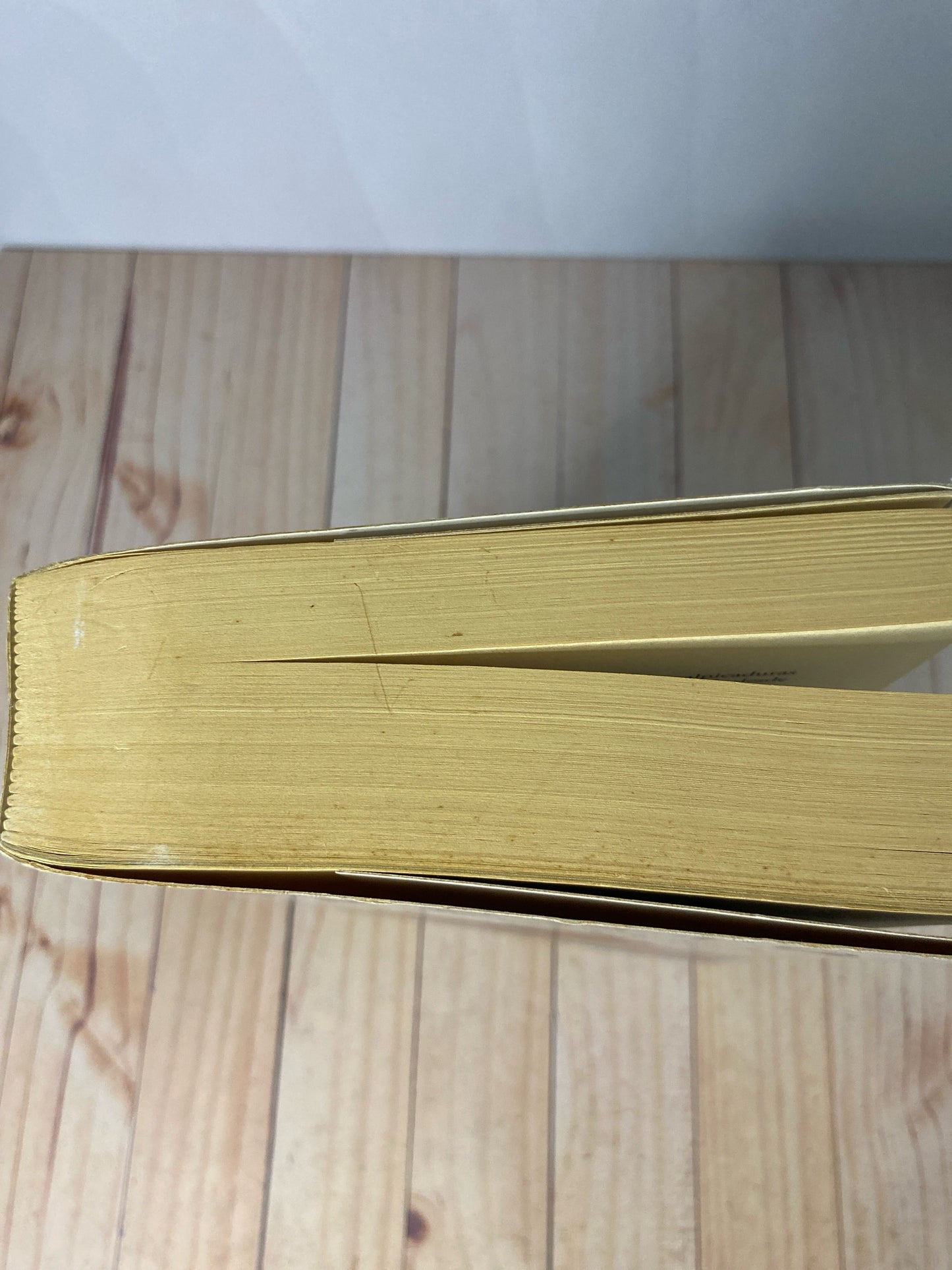 El asedio | Arturo Perez Reverte