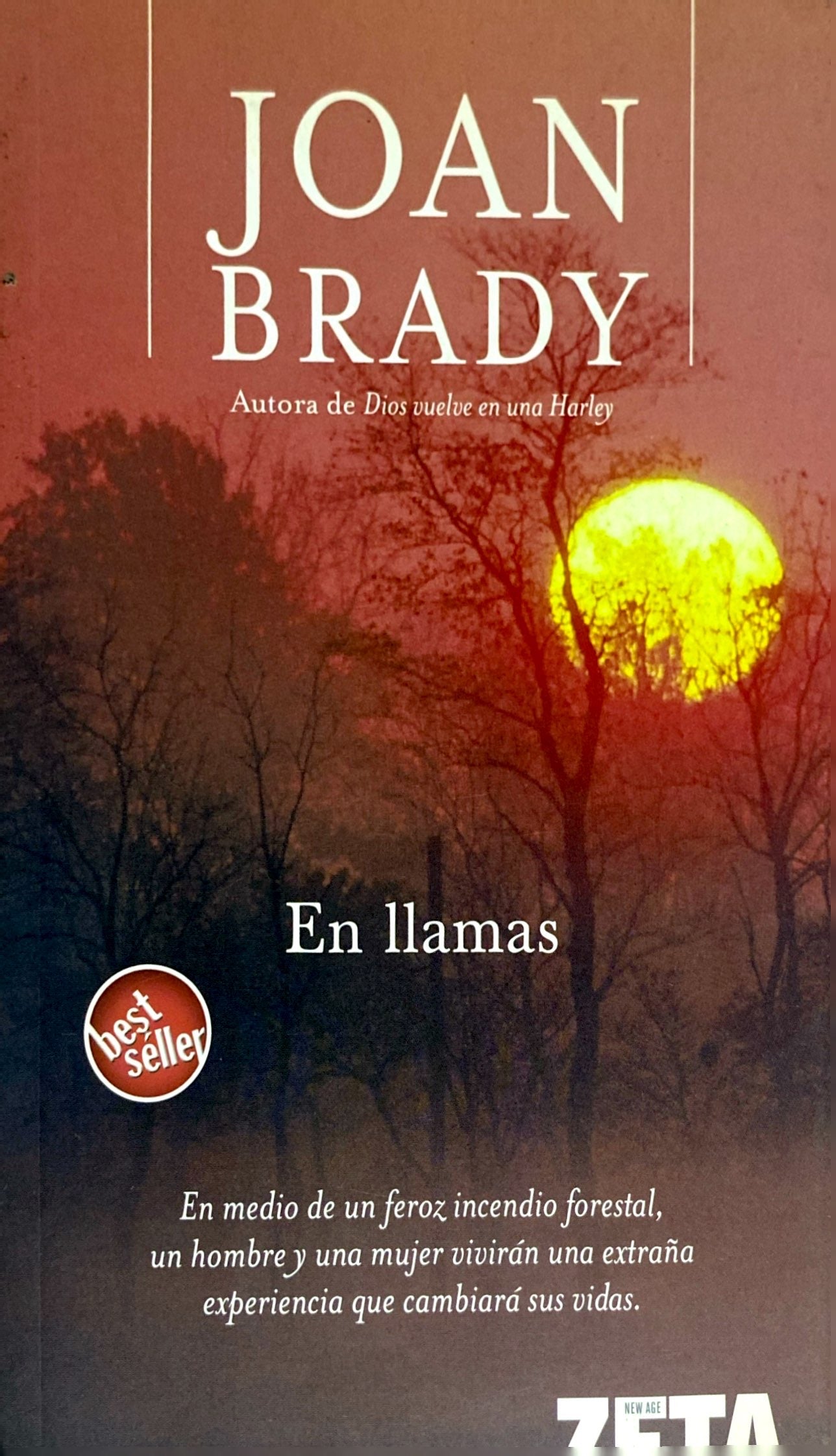 En llamas | Joan Brady