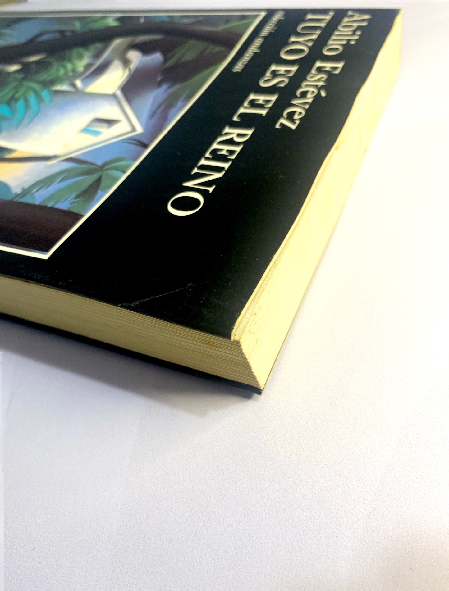 Tuyo es el reino | Abilio Estevez