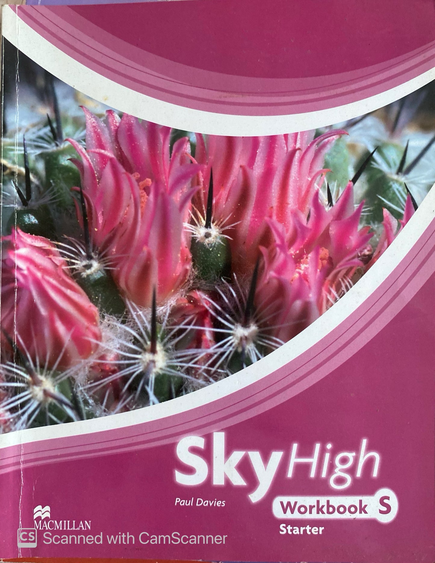 Sky high WorkBook 5