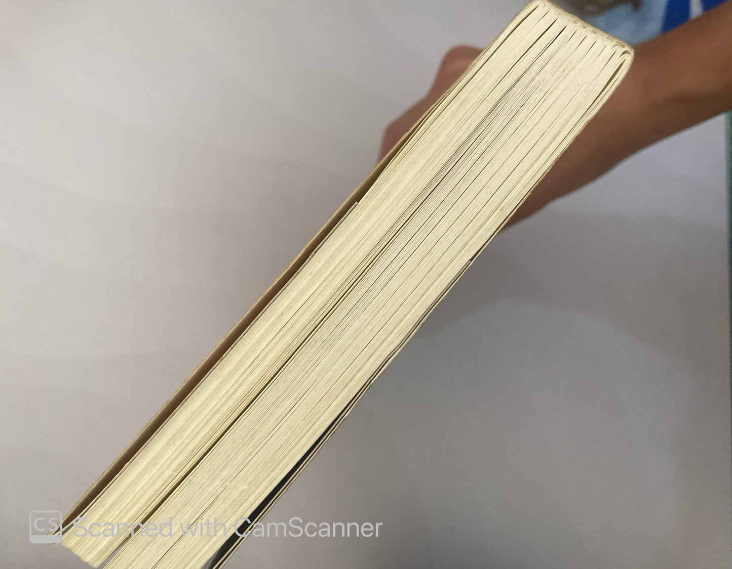 El tesoro perdido de los templarios | Steven Sora