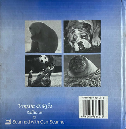 Un día de aquellos | Bradley Trevor