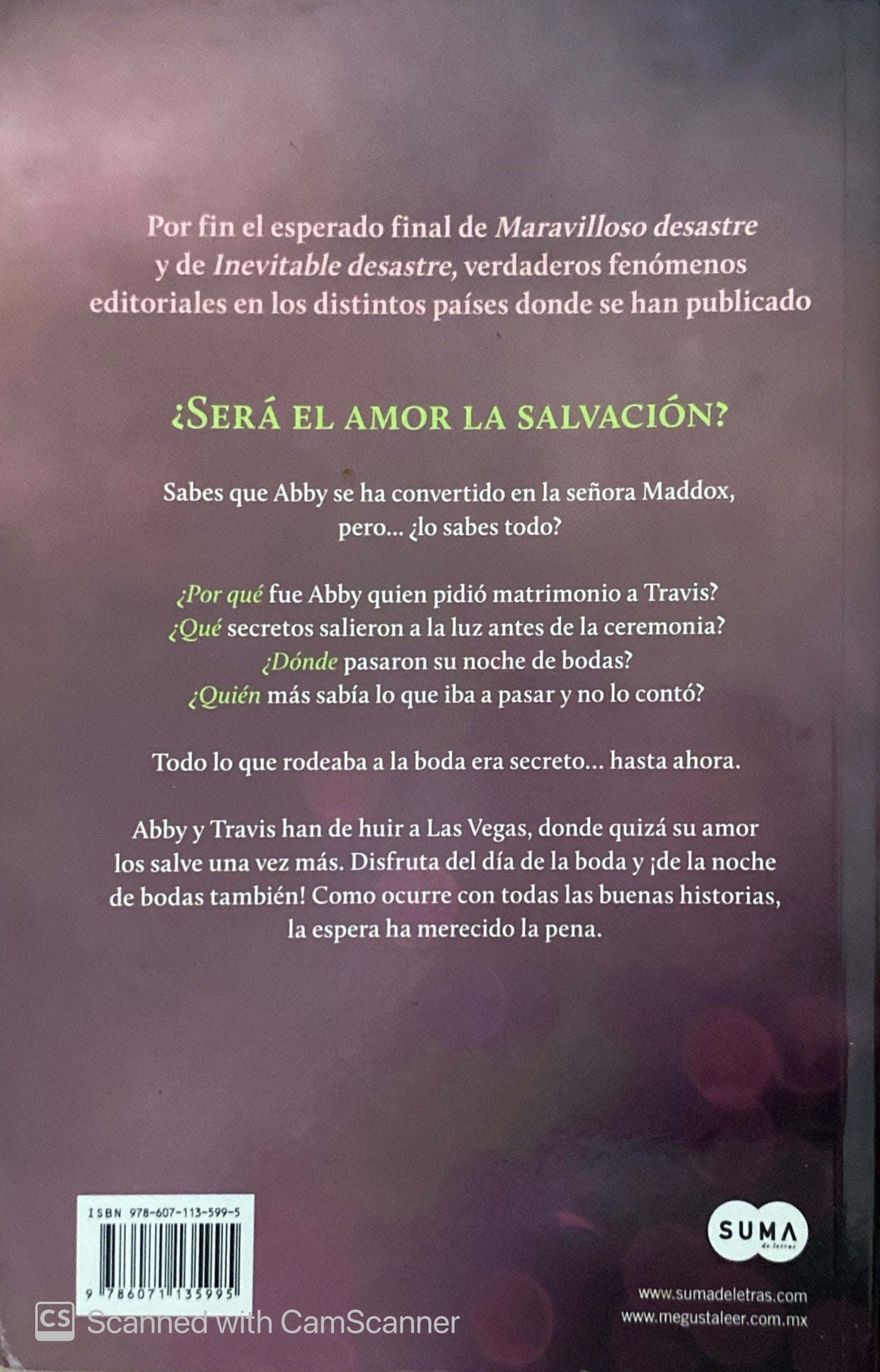 Un desastre es para siempre | Jamie McGuire