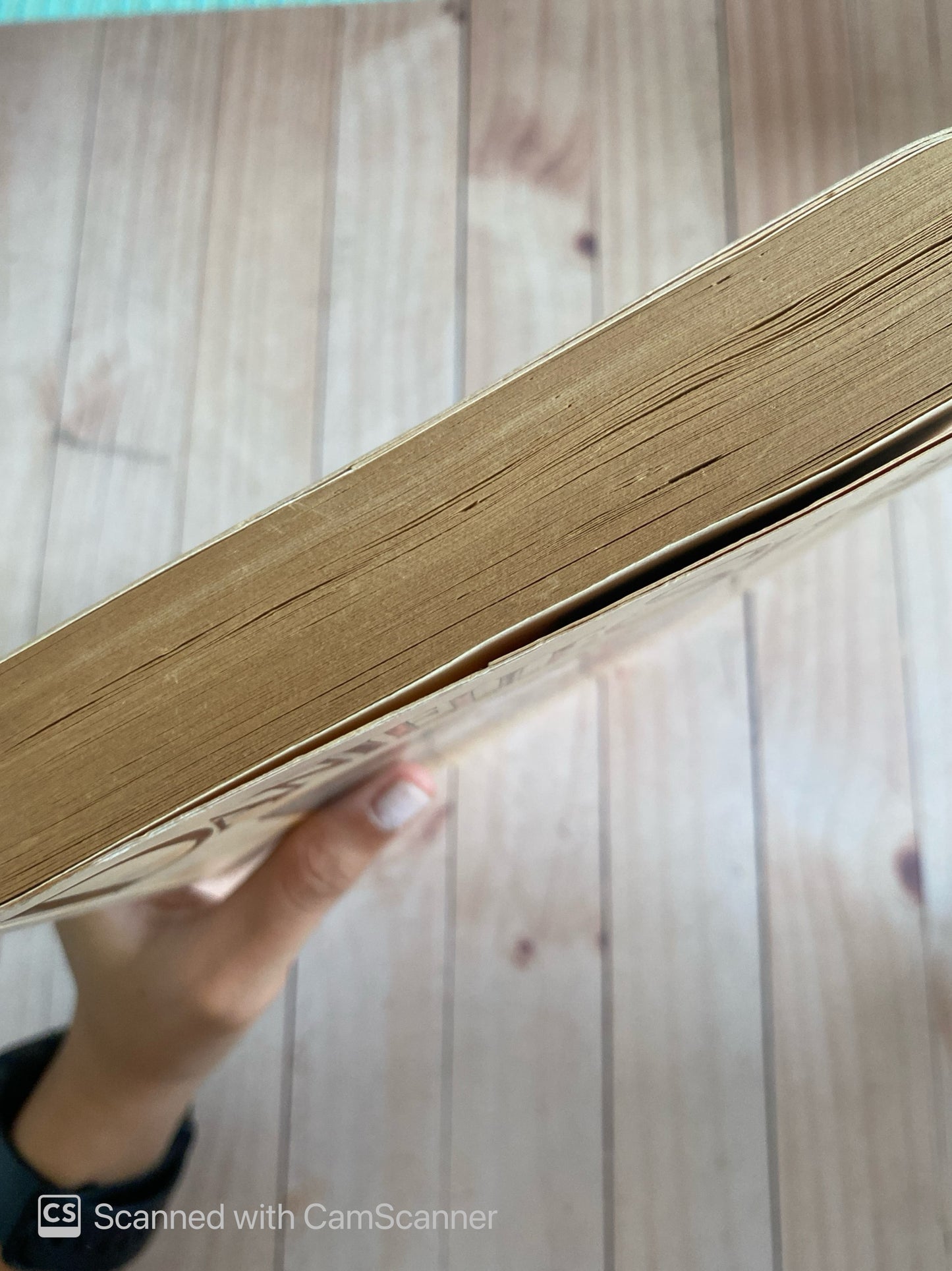 La Bailarina el clon | Danielle Steel
