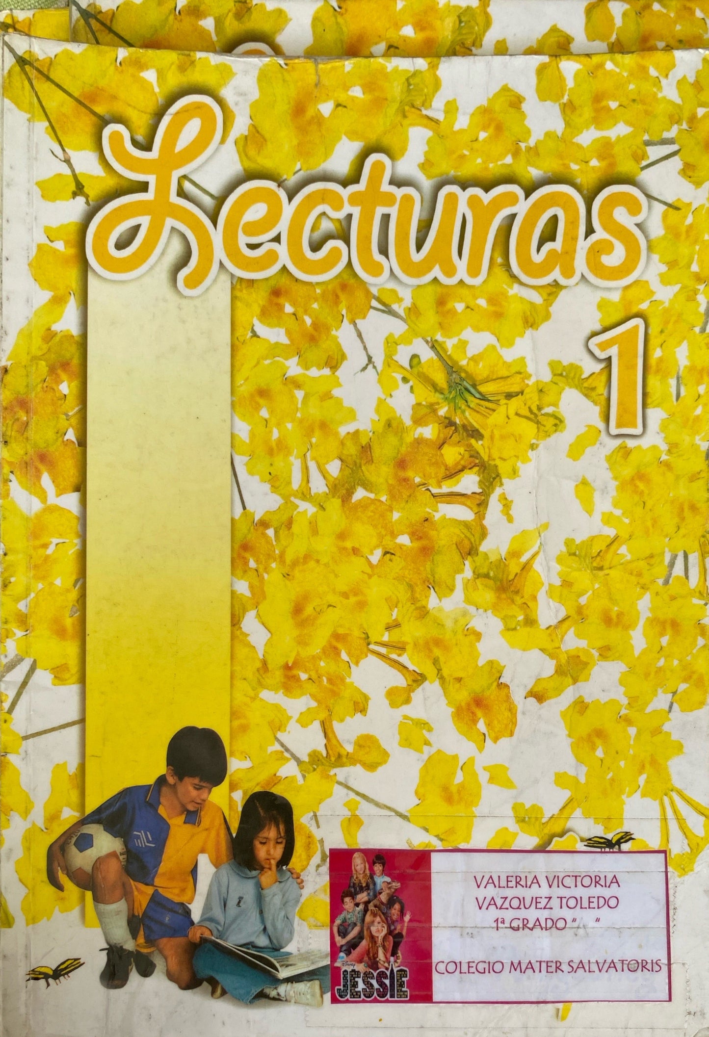 Lecturas araguaney 1er grado