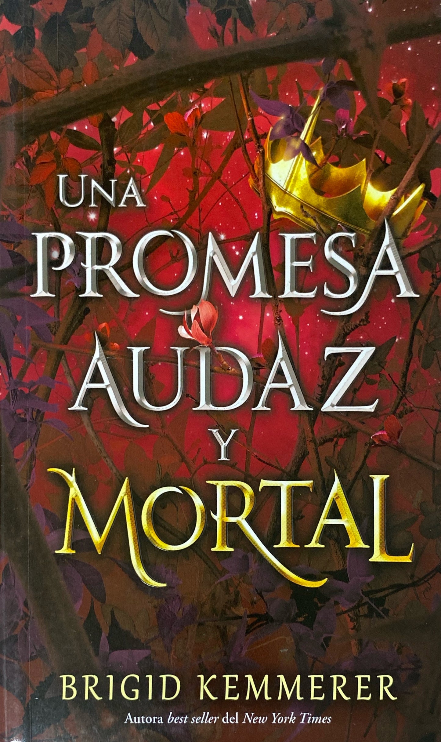 Una promesa audaz y mortal | Brigid Kemmerer