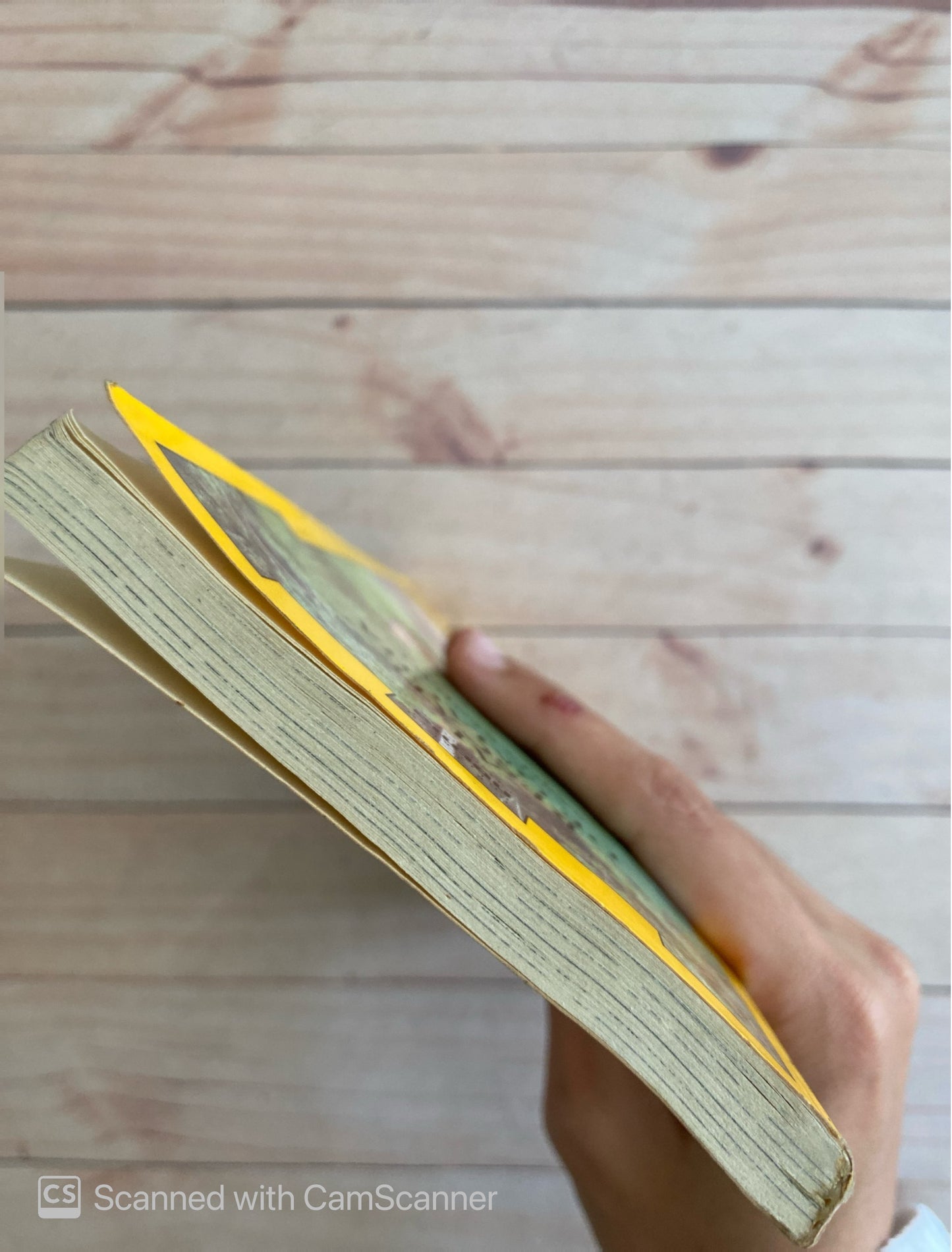 Al rescate de omacha | Sarita Kendall