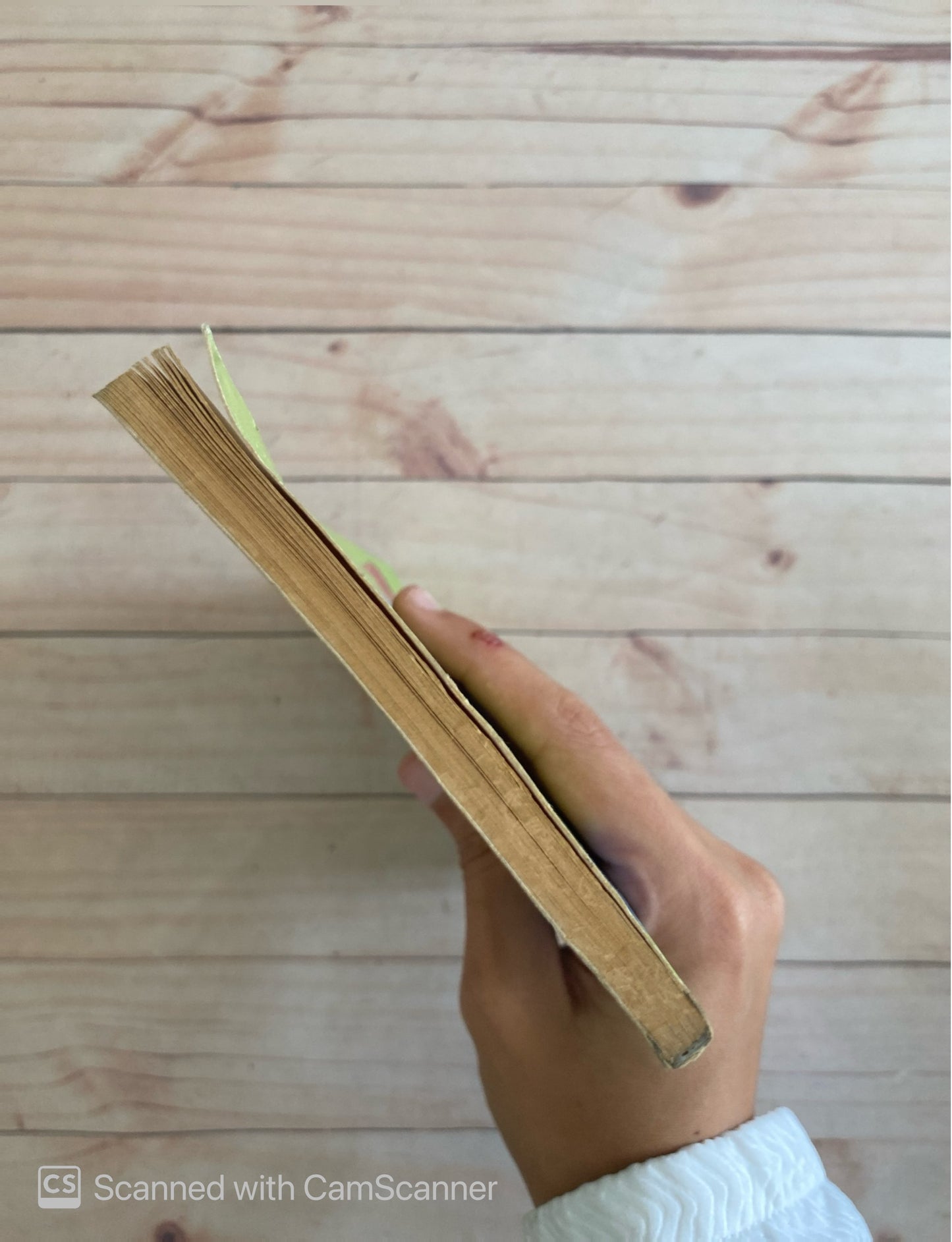 Fábula de la mazorca | Armando José Sequera