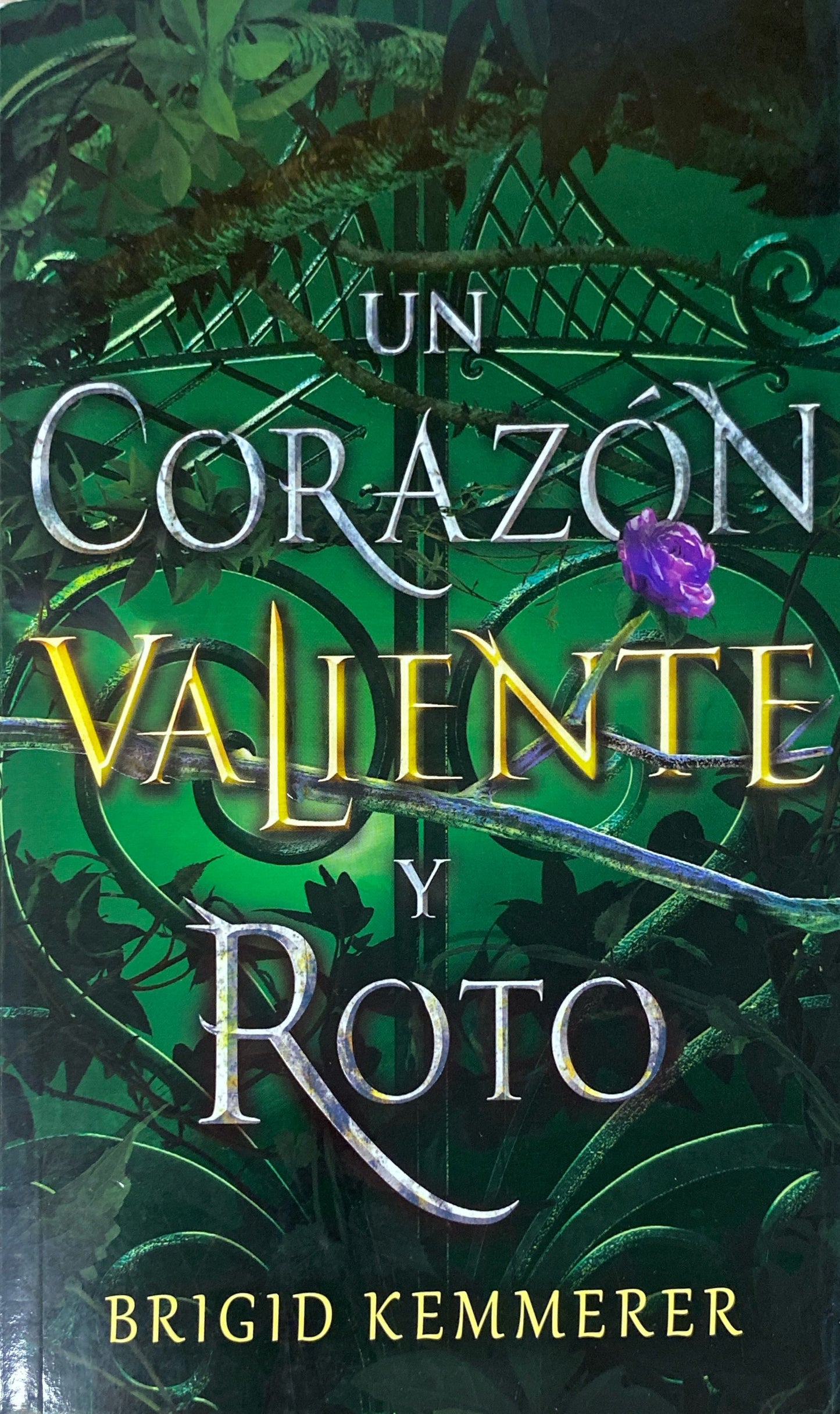 Un corazón valiente y roto | Birigd Kemmerer