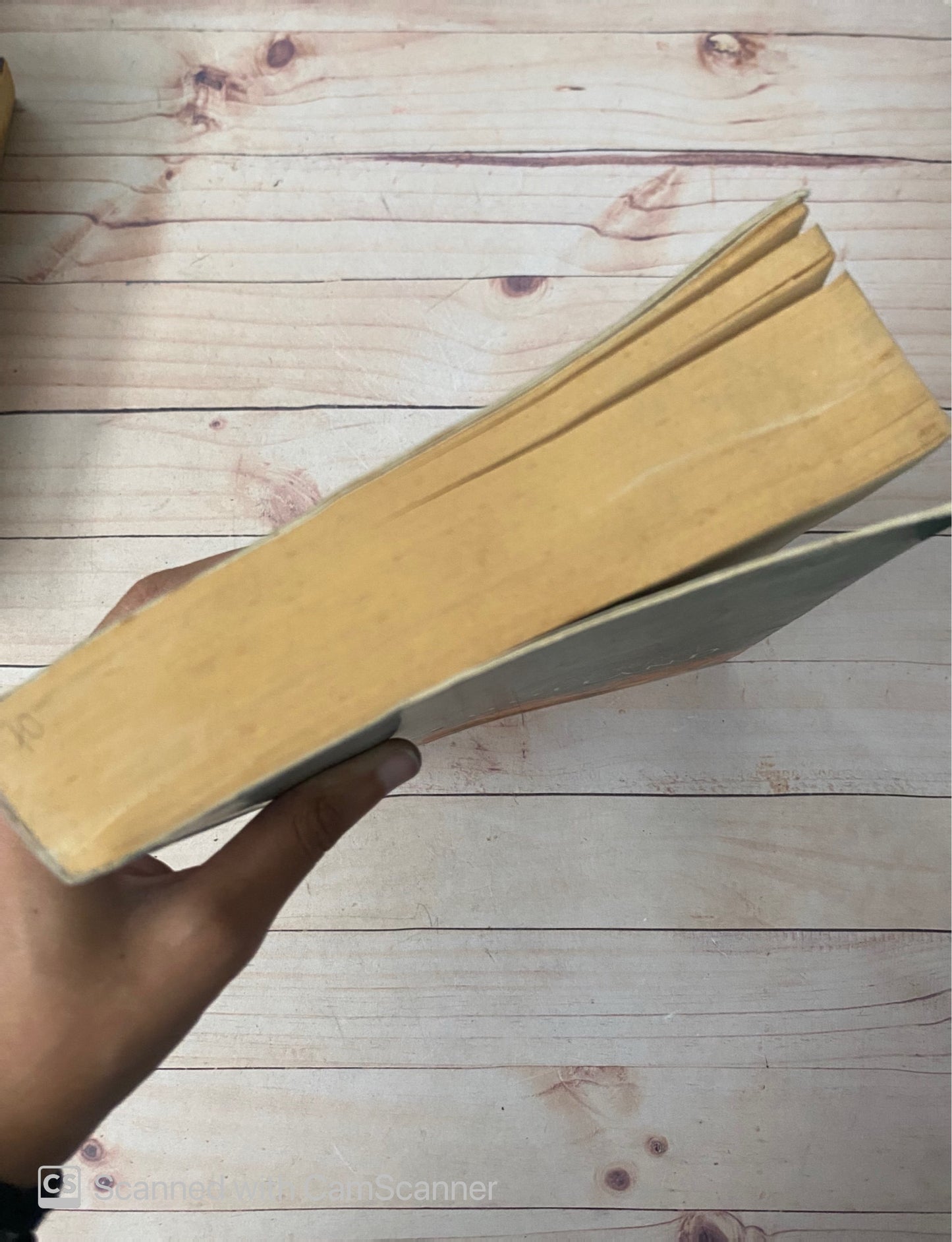 Fuego persa | Tom Holland