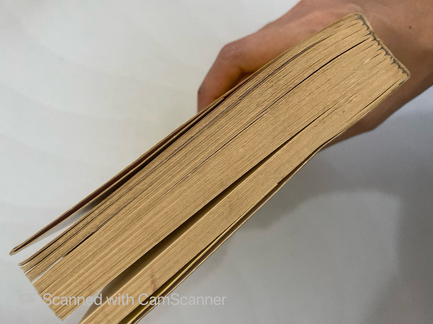 El exito en la empresa | Michael Korda