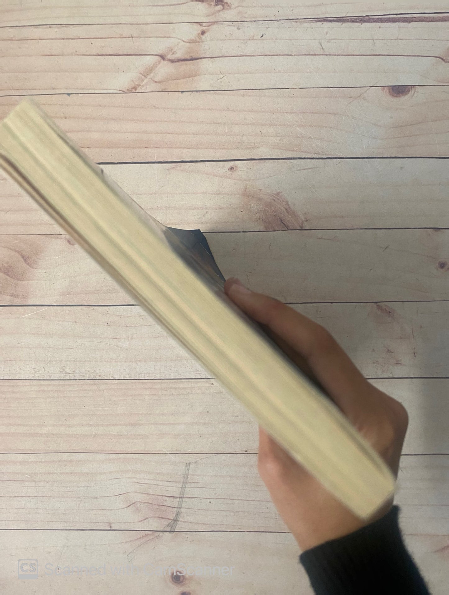 Dragons in a bag | Zetta Elliott