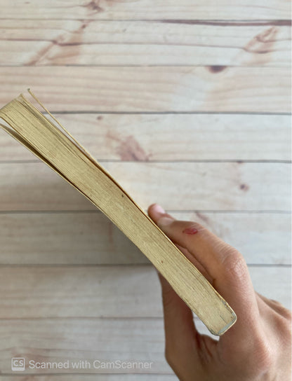 La campana del arrecife | Sarita Kendall