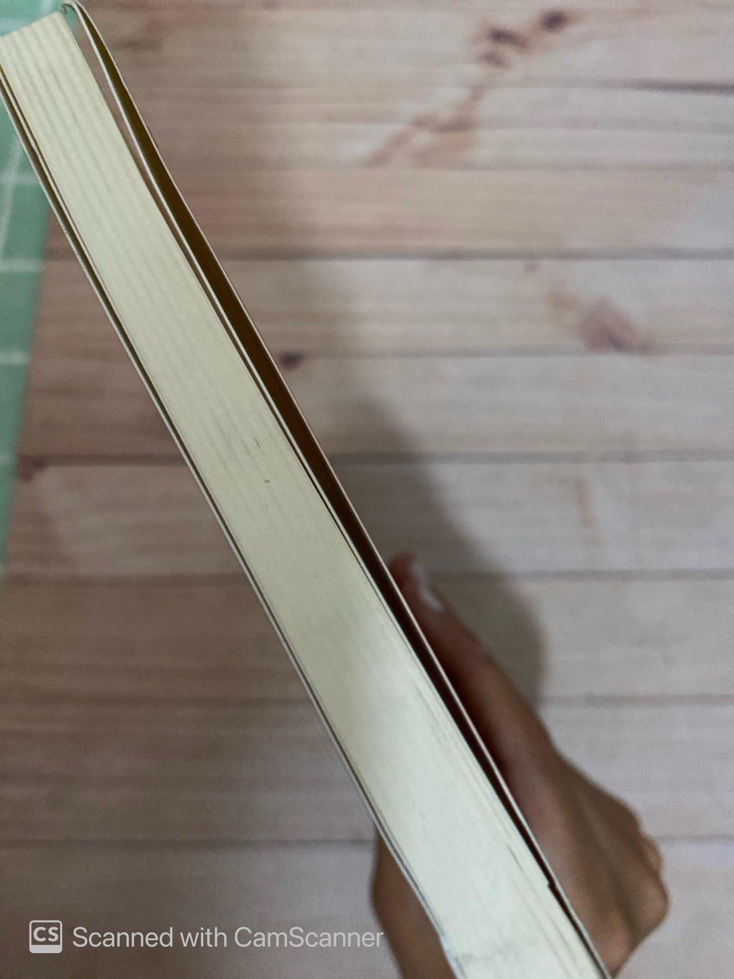 Tratados y sermones | Thomas Müntzer