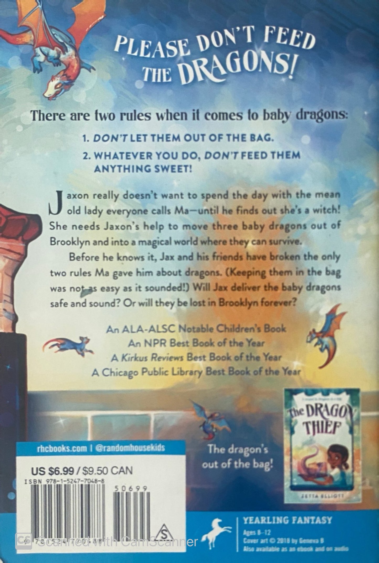 Dragons in a bag | Zetta Elliott