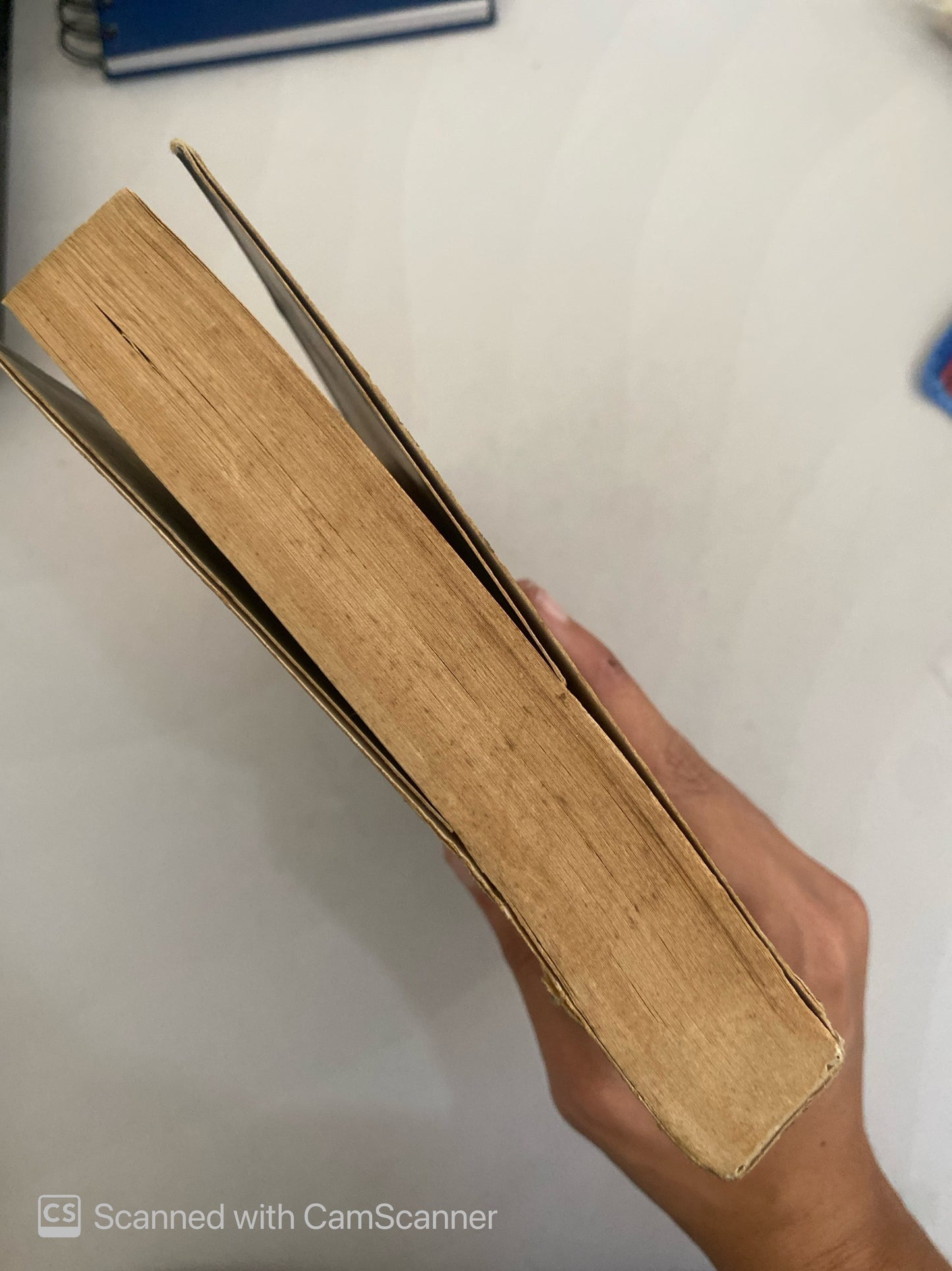 Por siempre mía | Mary Higgins Clark