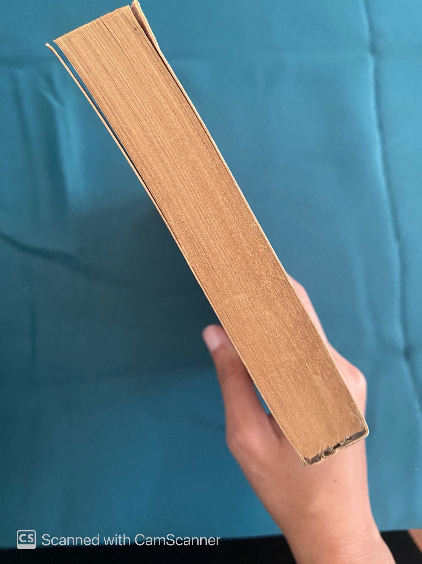 Rembrandt | Christopher White