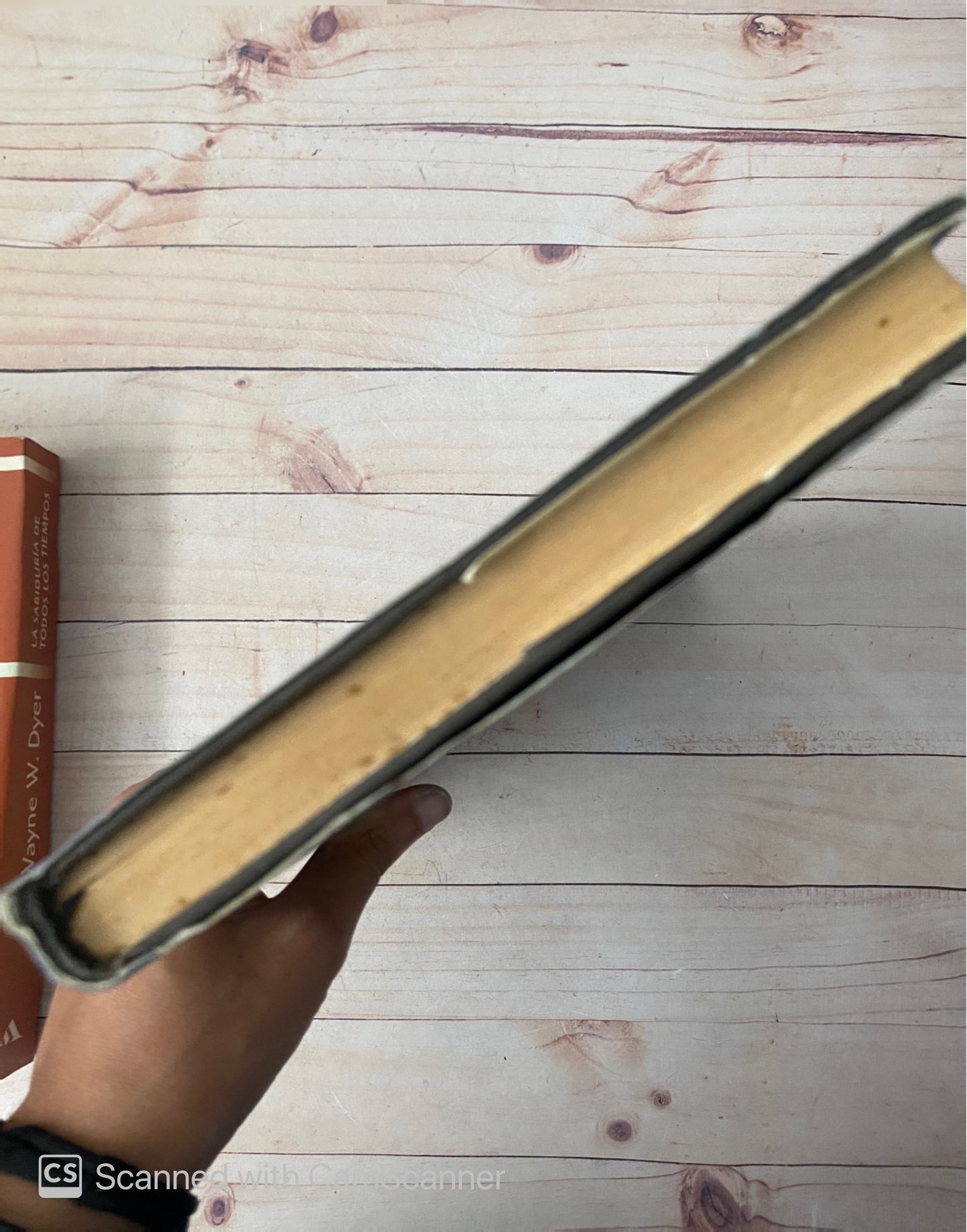 El visitante del laberinto | Rafael Ábalos