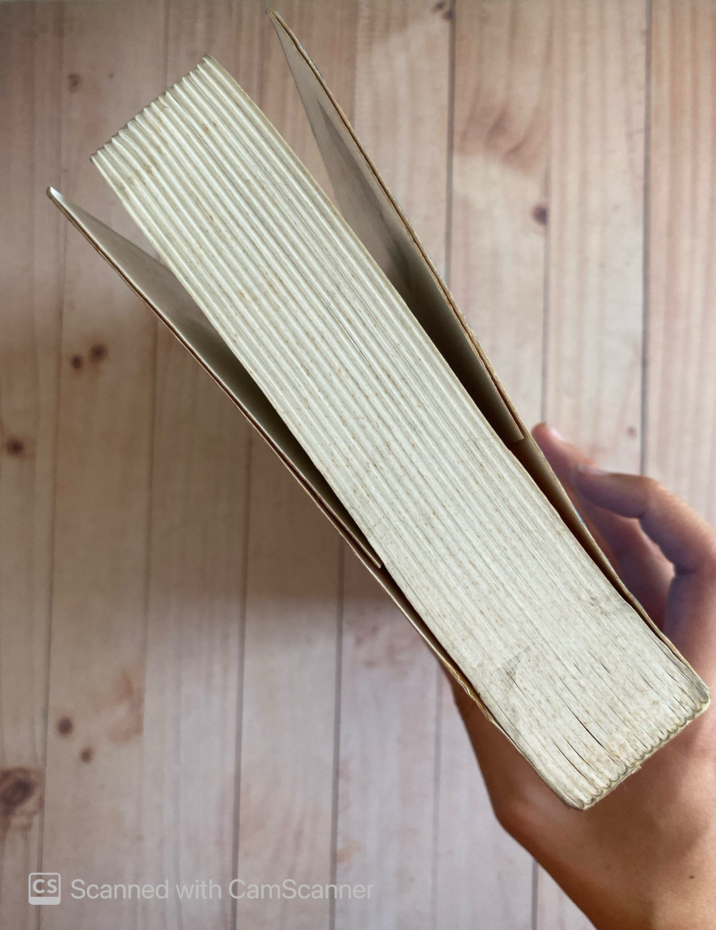 La habana para un infante difunto | G. Cabrera Infante