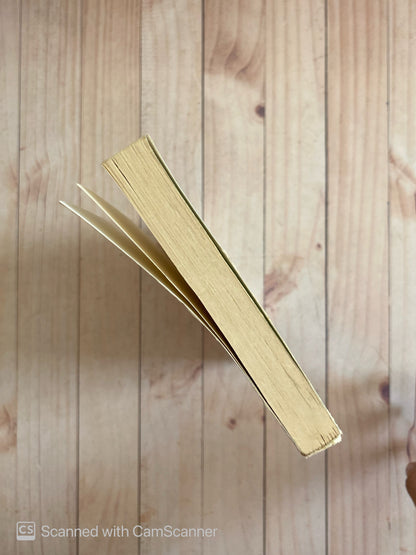 No abrir hasta el año 3000 | Mireya Tabuas