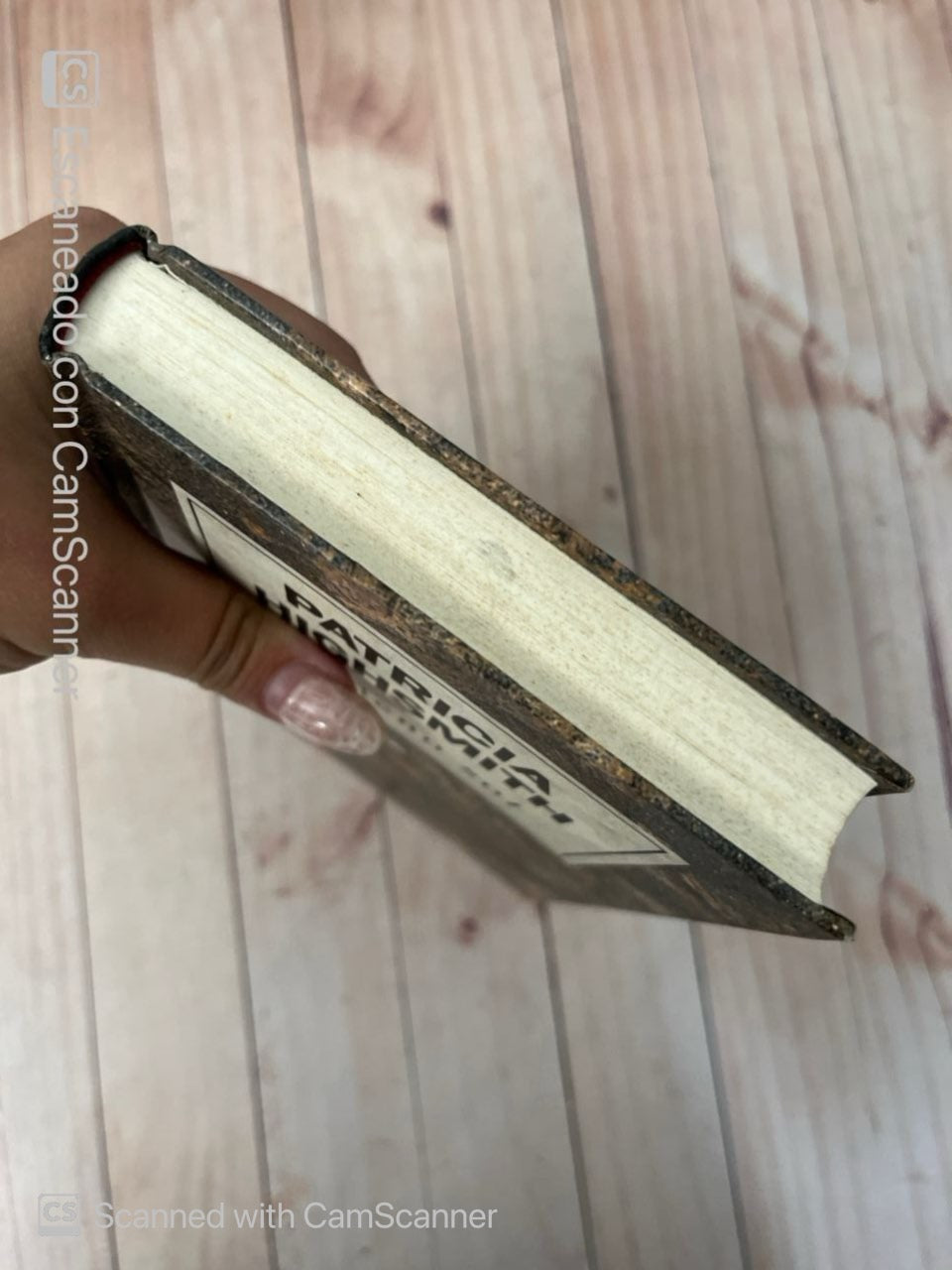 A pleno sol | Patricia Highsmith