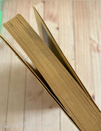 Solal | Albert Cohen