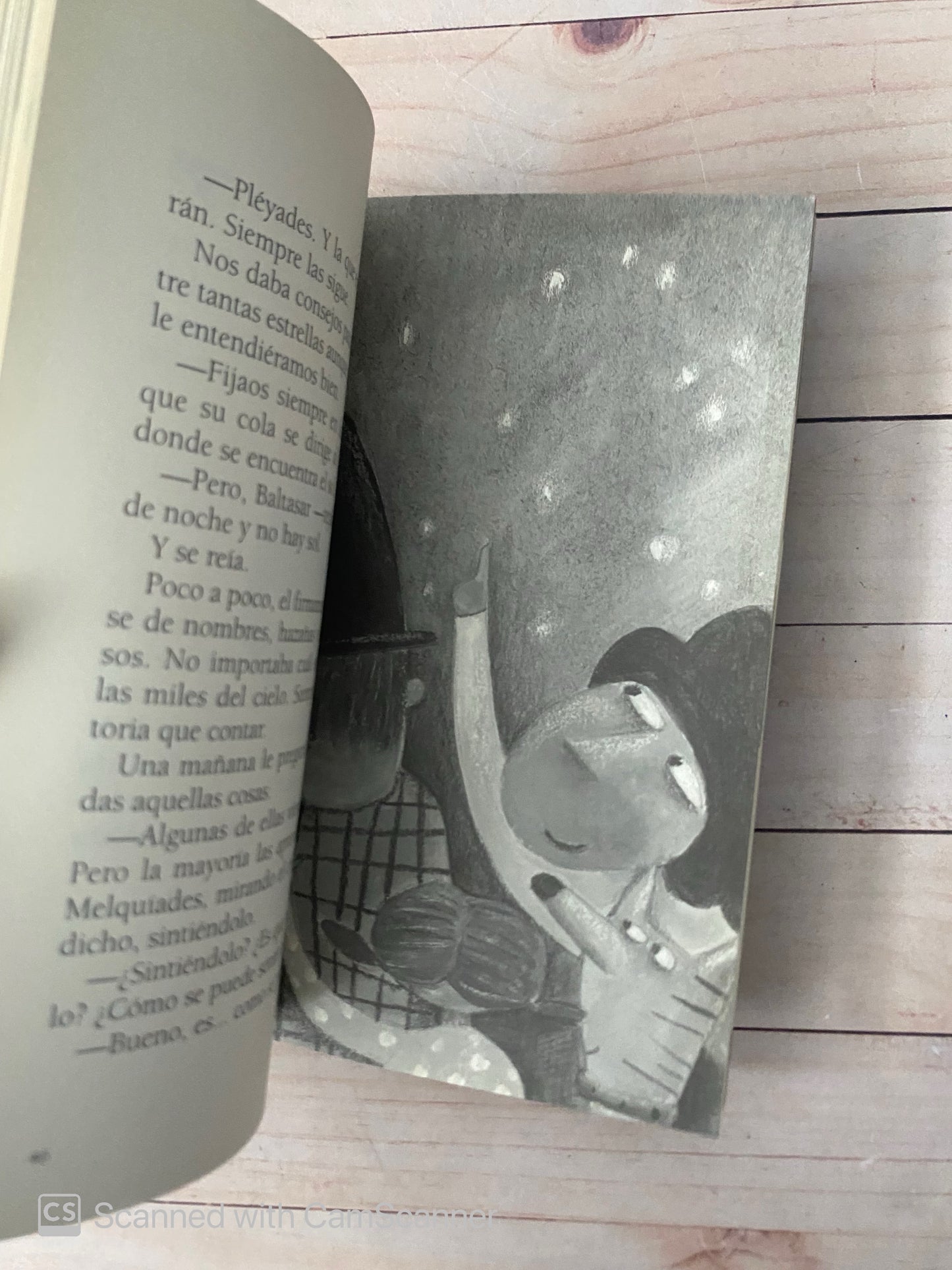 El circo de baltasar |  Pepe Maestro