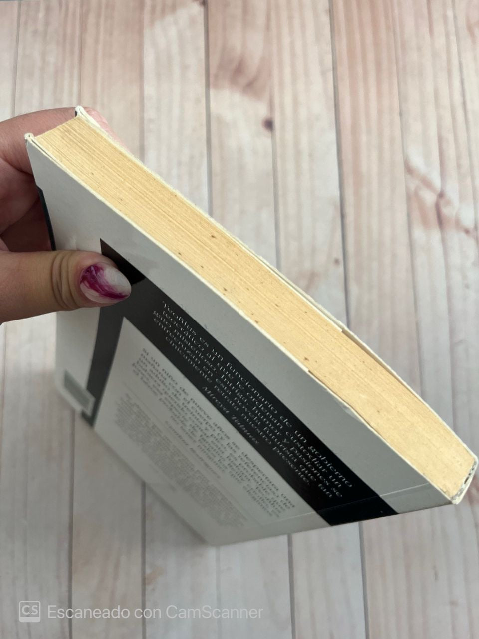 Las peripecias inéditas de teofilus Jones | Fedosy Santaella