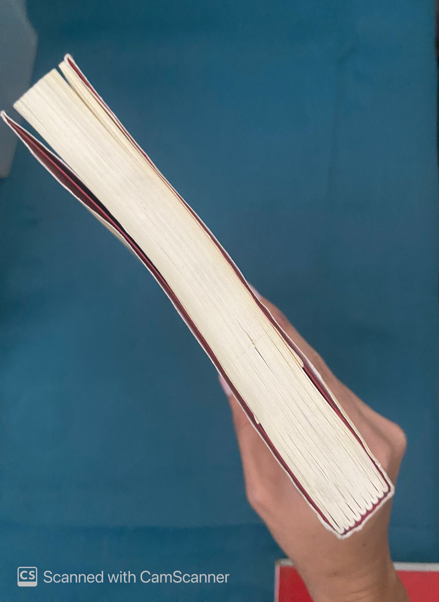 El dedo de David Lynch | Fedosy Santaella