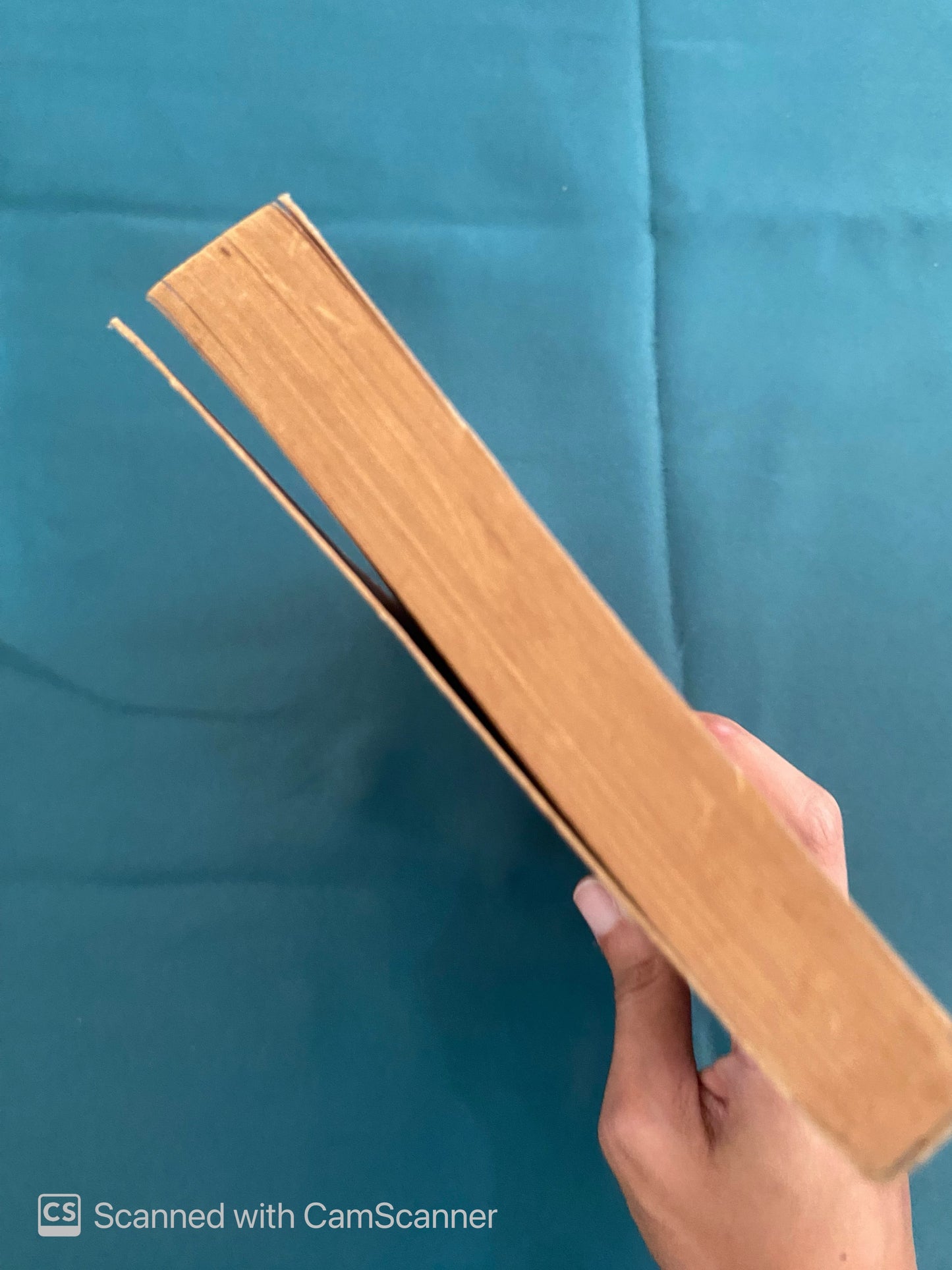 Garcia Lorca | Jose Luis Cano