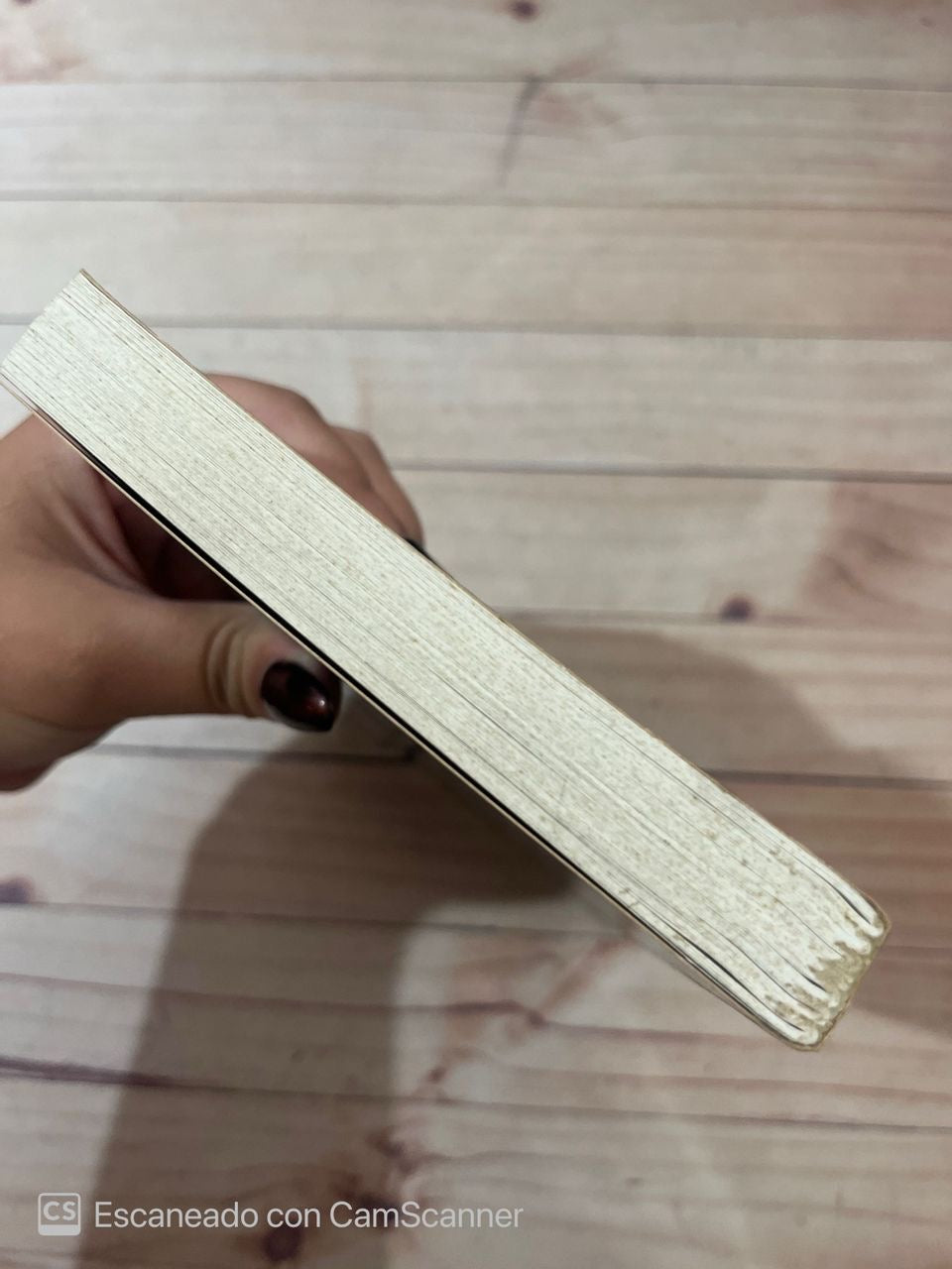 Rowan: El conjuro de los viajeros| Emily Rodda