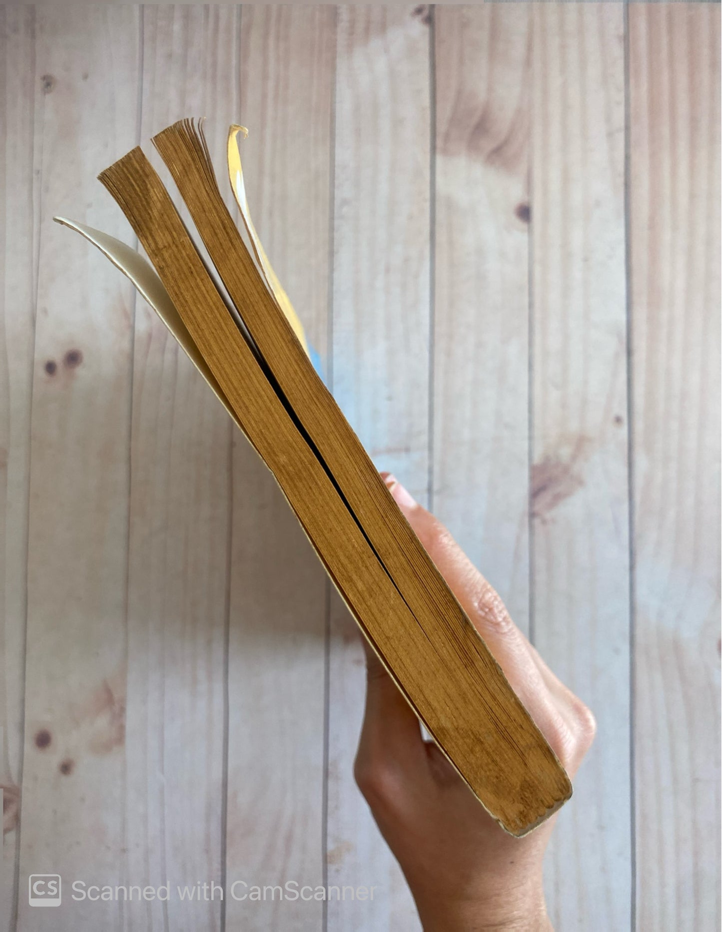 Emily, la sirena occidental | Liz Kessler