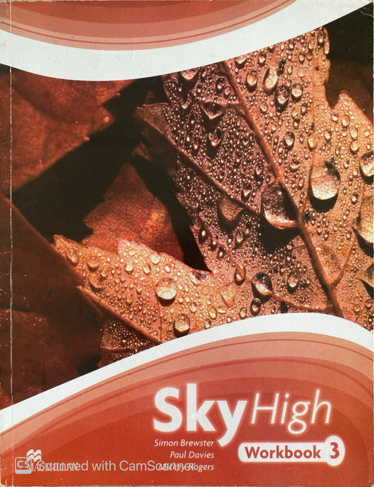 Sky high WorkBook 3