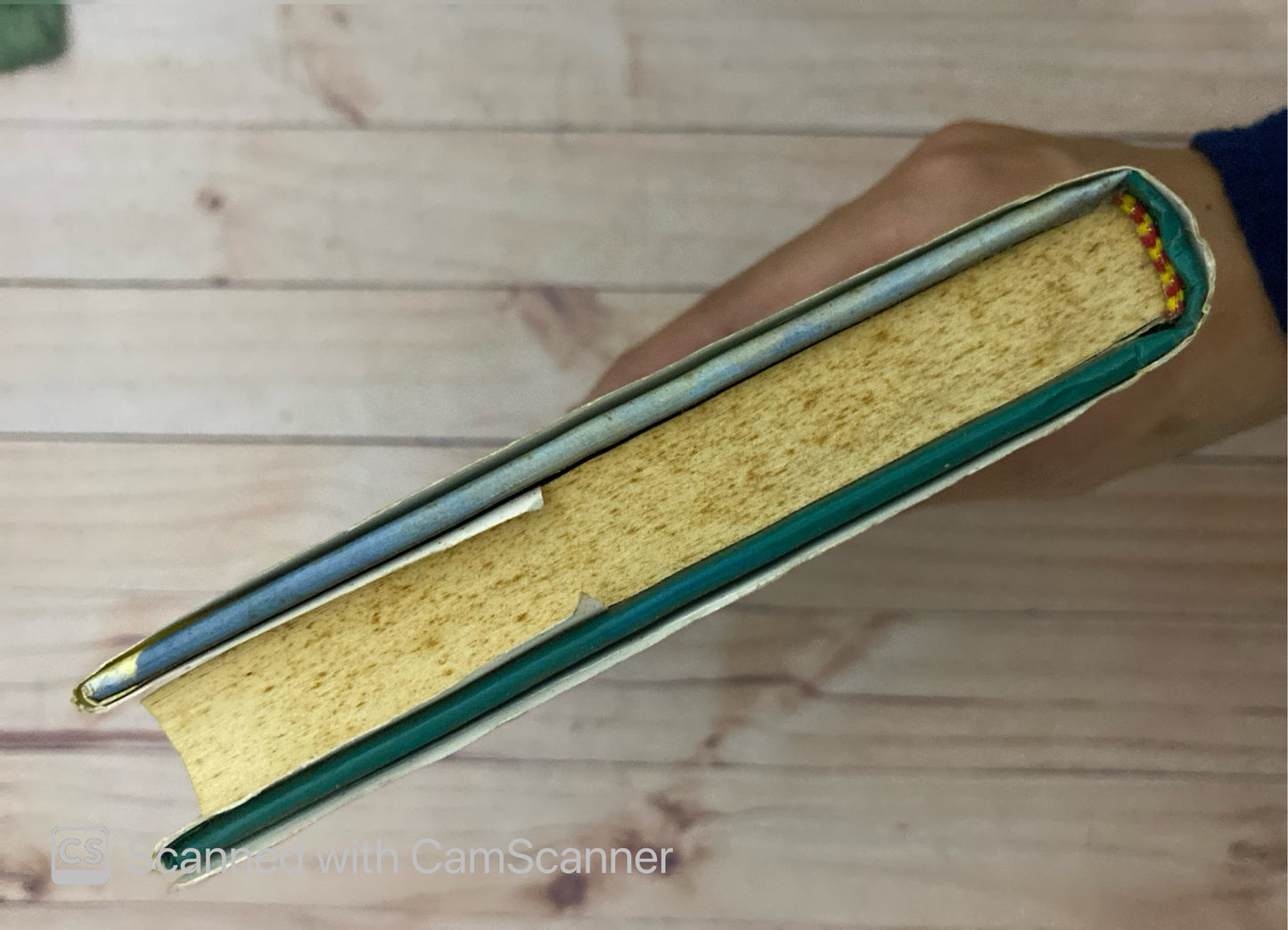 Aventuras de tres rusos y tres ingleses en el africa austral  | Julio Verne