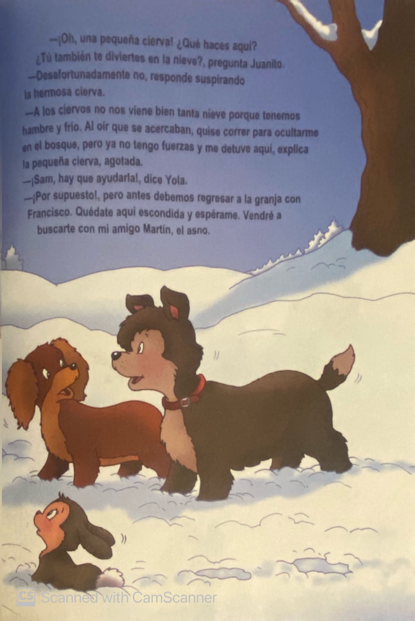 Animales en la granja