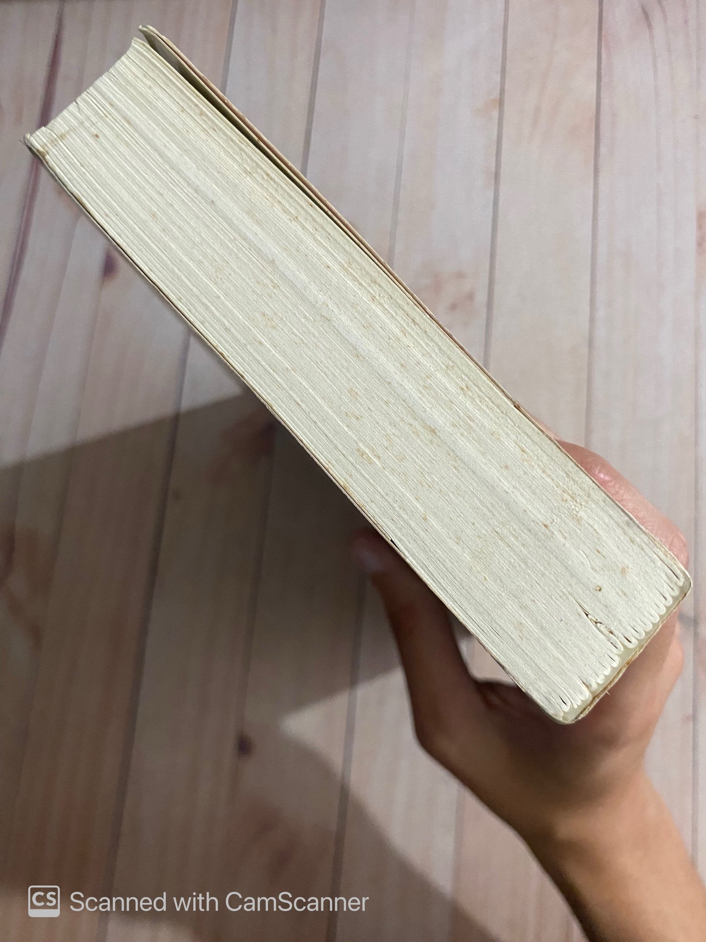 Karnaval | Juan Francisco Ferré