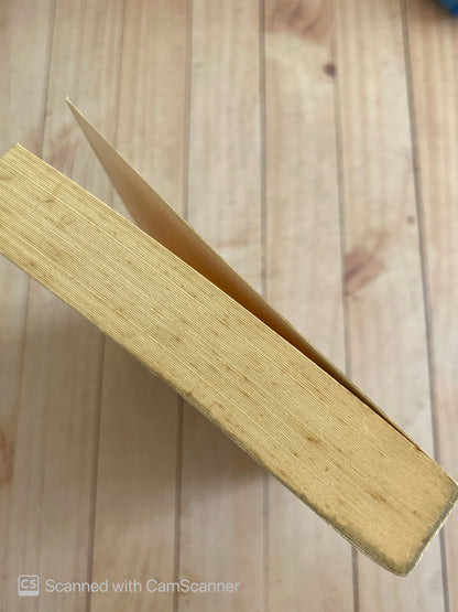 Vergüenza | Salman Rushdie