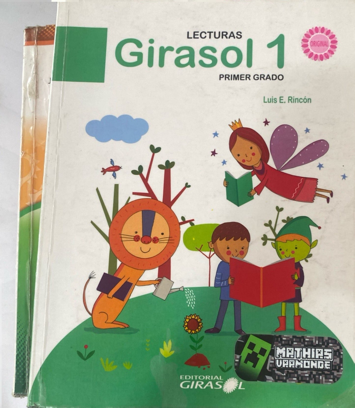 Lectura girasol 1