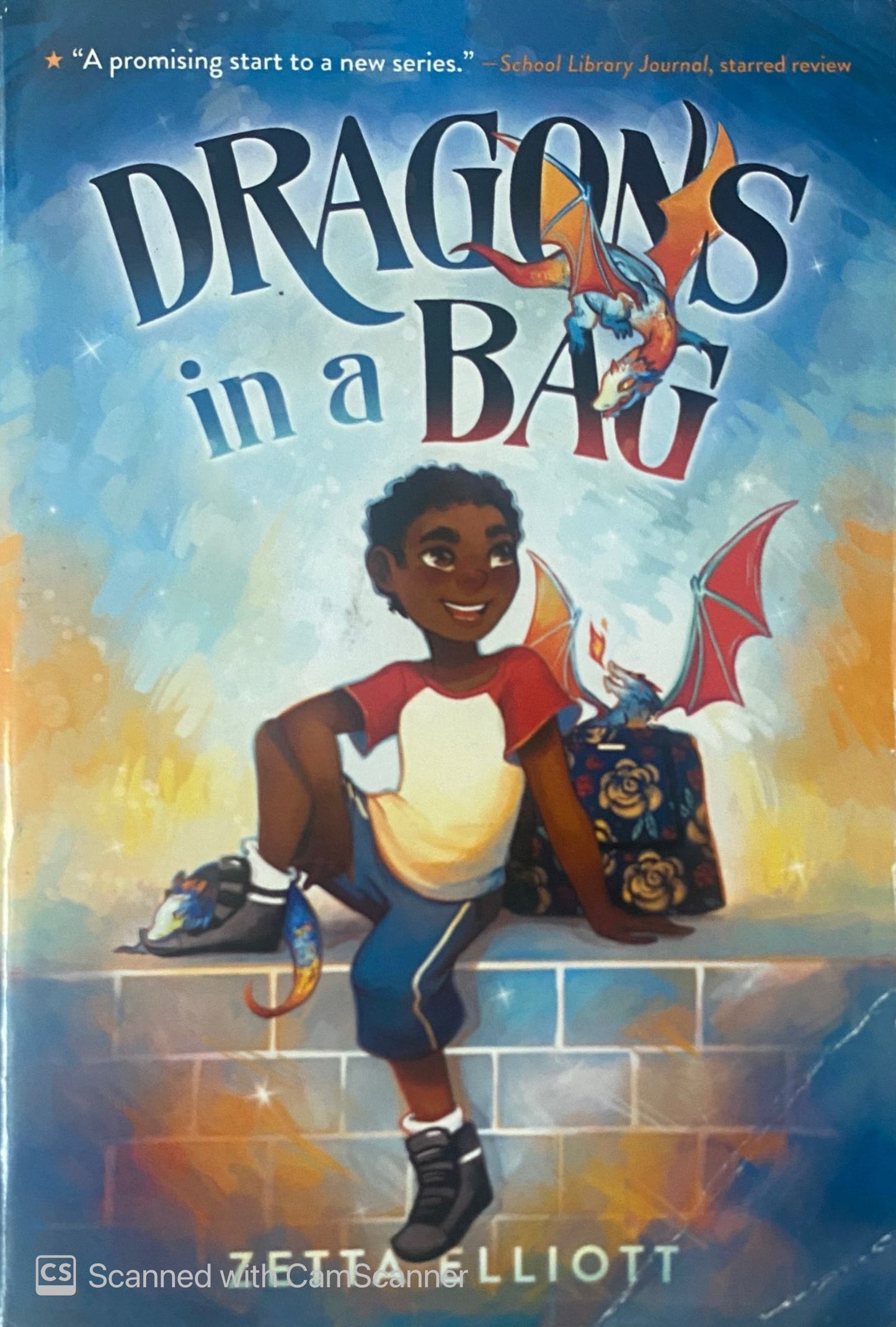 Dragons in a bag | Zetta Elliott