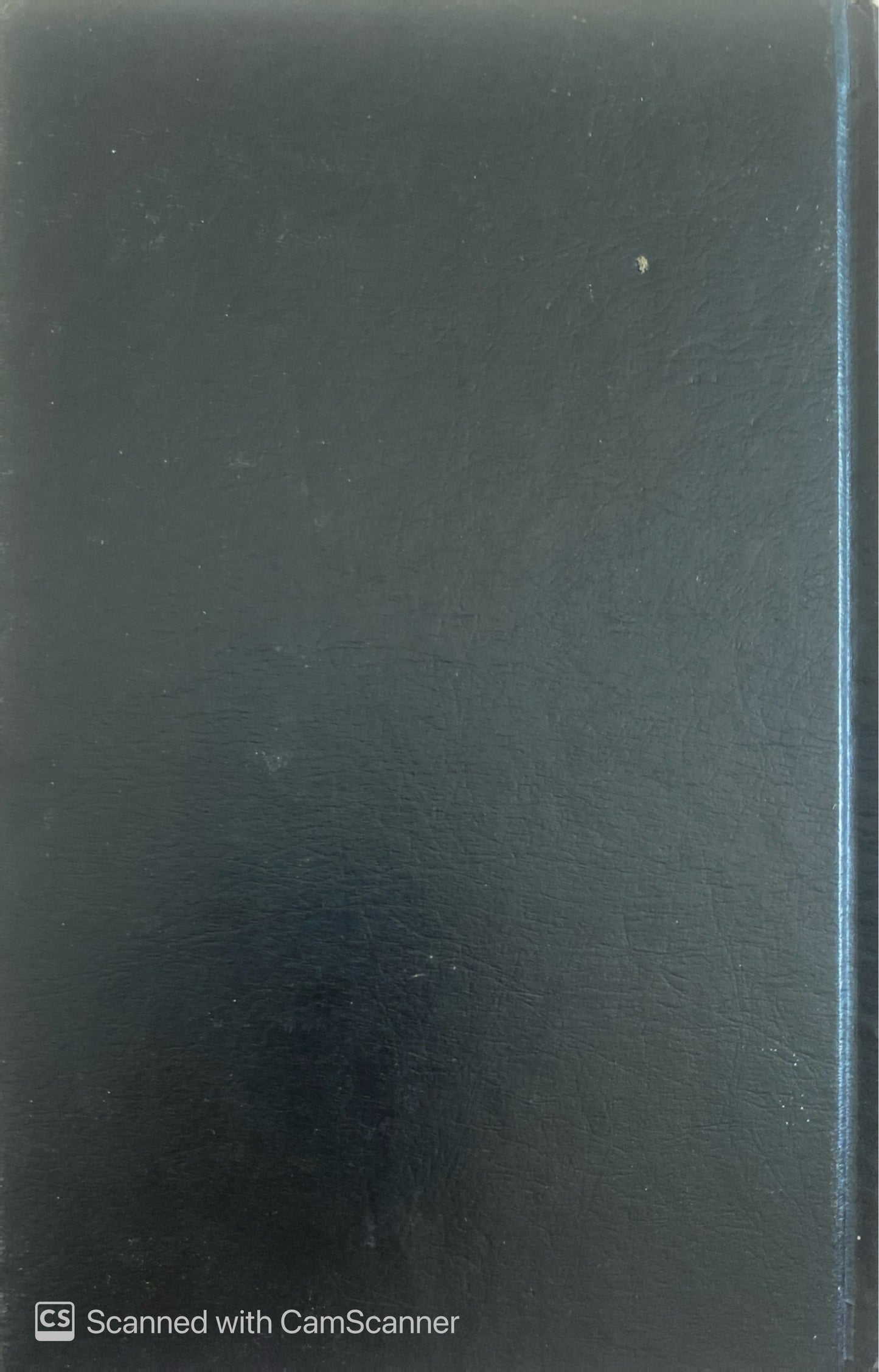 Extrañós en un tren / Mar de Fondo |Patricia Highsmith