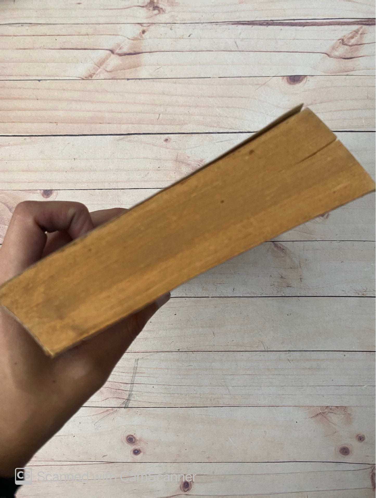 Los reyes del mambo tocan canciones de amor | Oscar Hijuelos