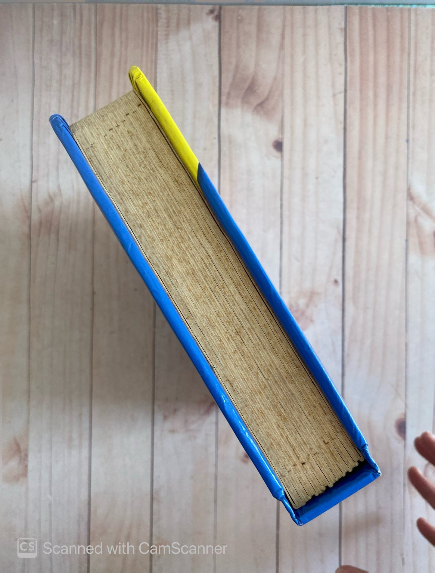 Mis primeras canciones en inglés