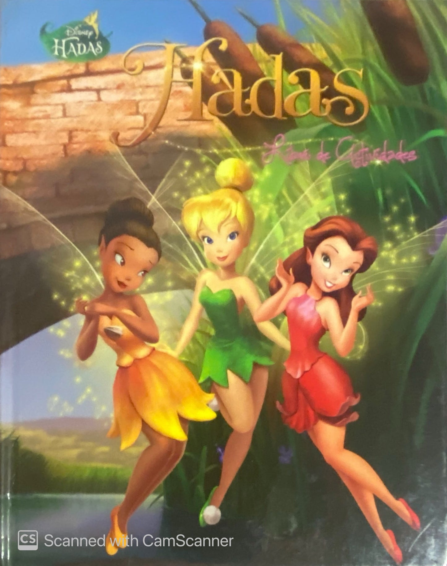 Hadas - Libros de actividades